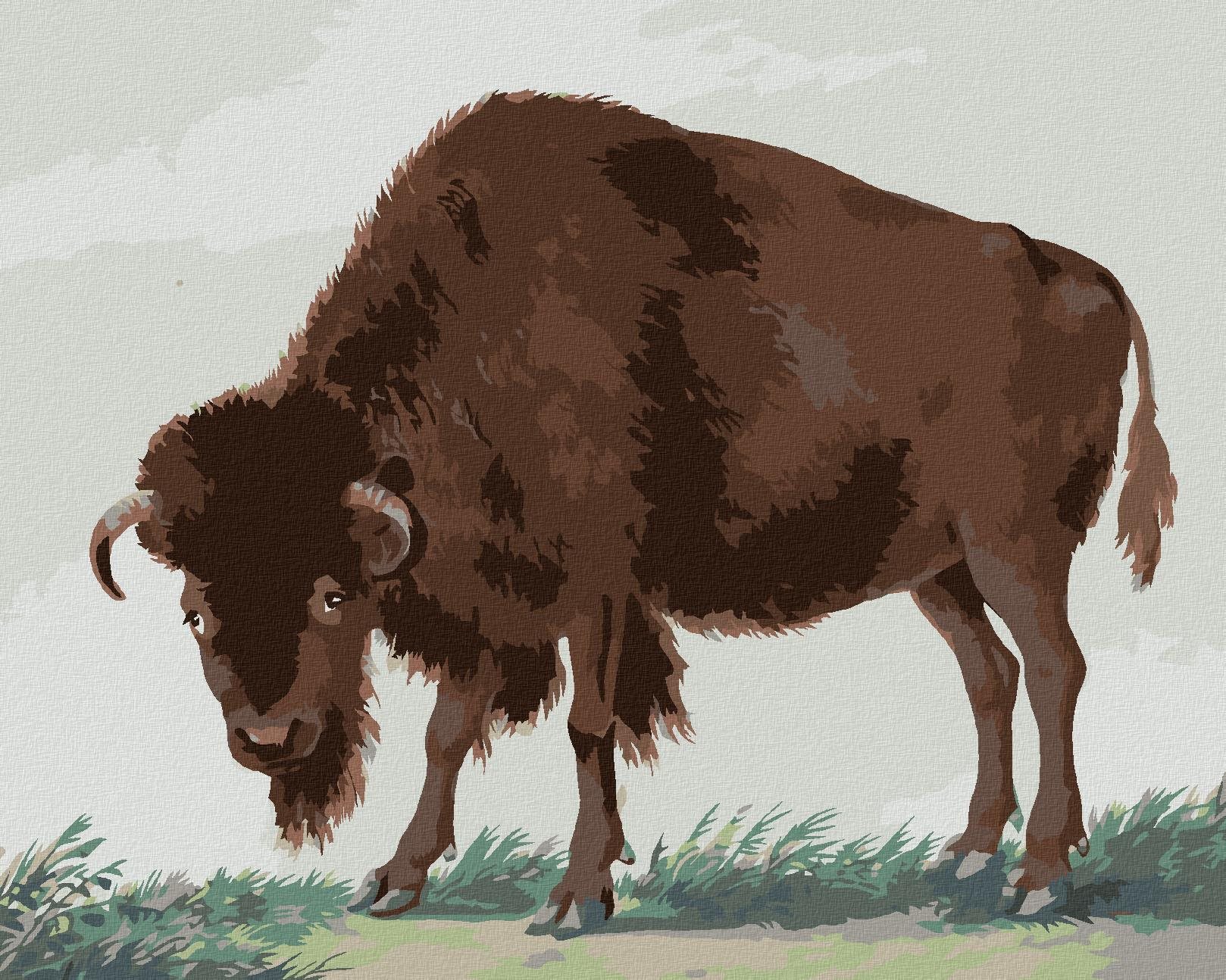 Zuty – Maľovanie Podľa Čísel – Bizón (I. Van Haastert), 80 × 100 cm, Plátno