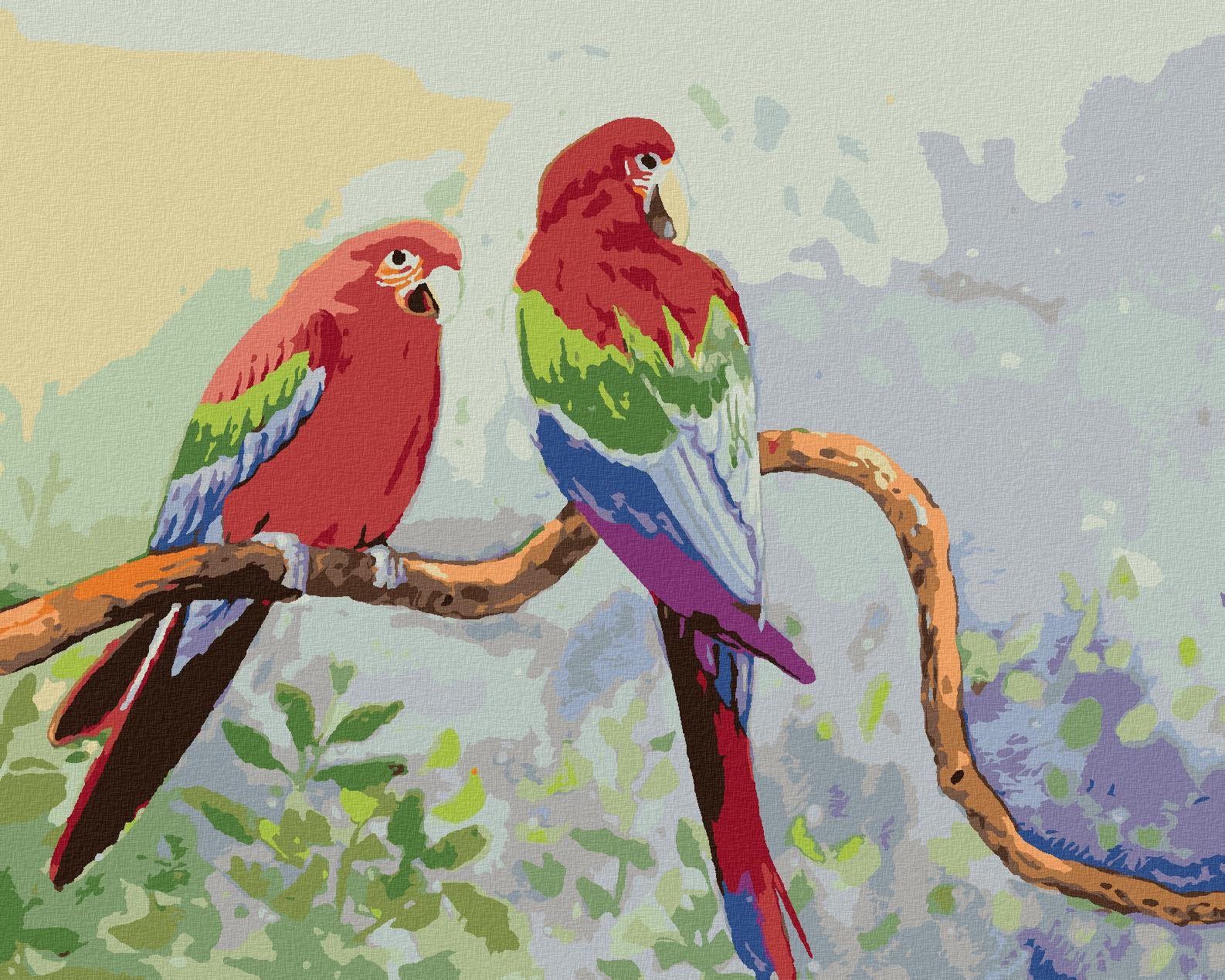 Zuty – Maľovanie Podľa Čísel – Farebné Papagáje Na Konári, 40 × 50 cm, Plátno