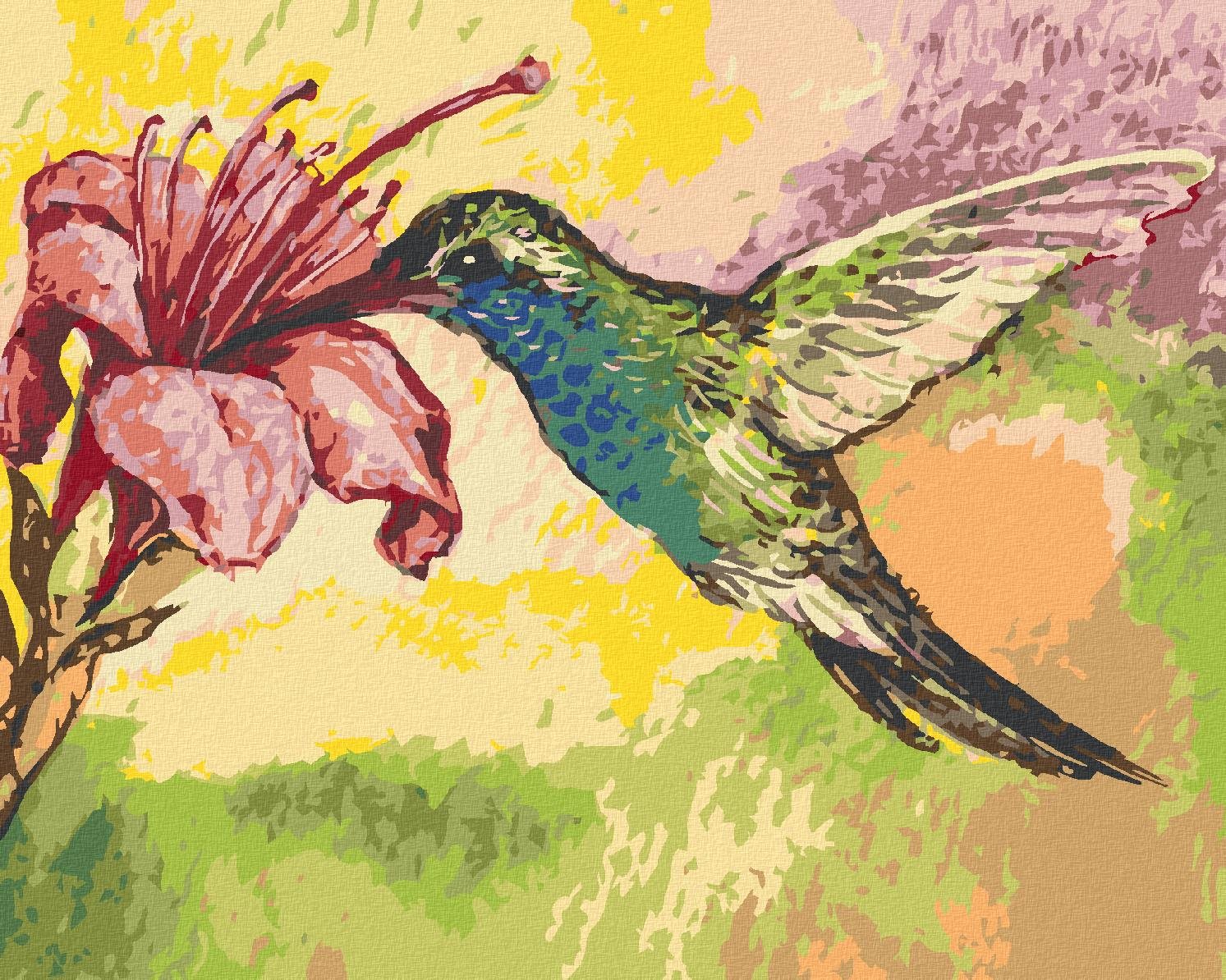 Zuty – Maľovanie Podľa Čísel – Kolibrík A Ružový Kvet, 80 × 100 cm, Plátno