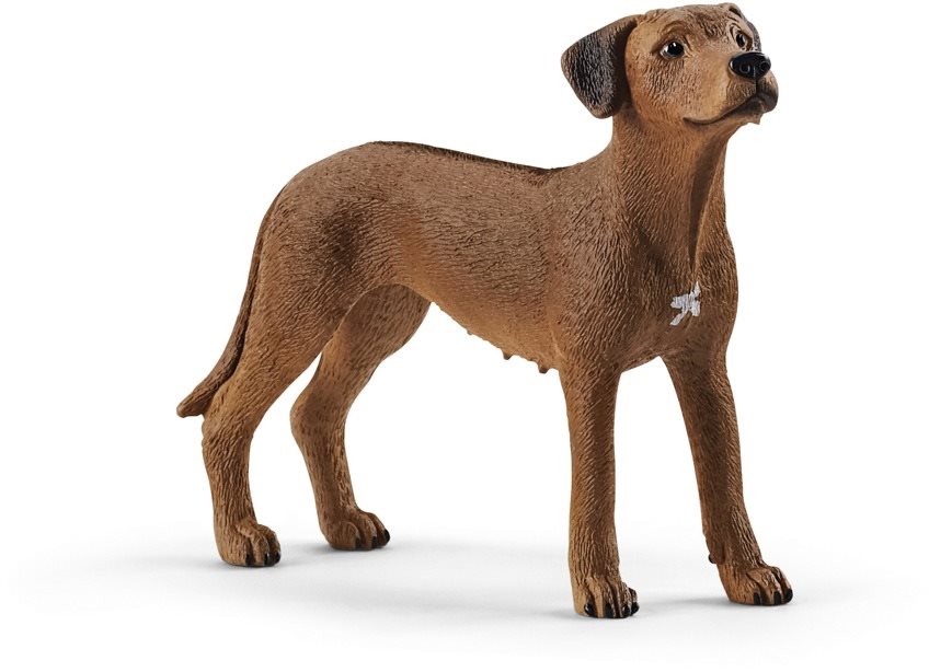 Schleich 13895 Zvieratko – pes ridgeback rodézsky