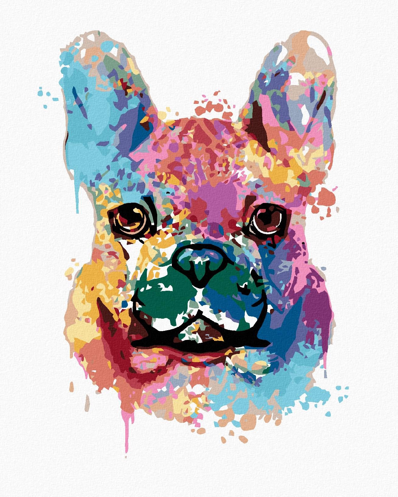 Maľovanie podľa čísel - Maľovaný buldog, 40 x 50 cm, napnuté plátno na ráme