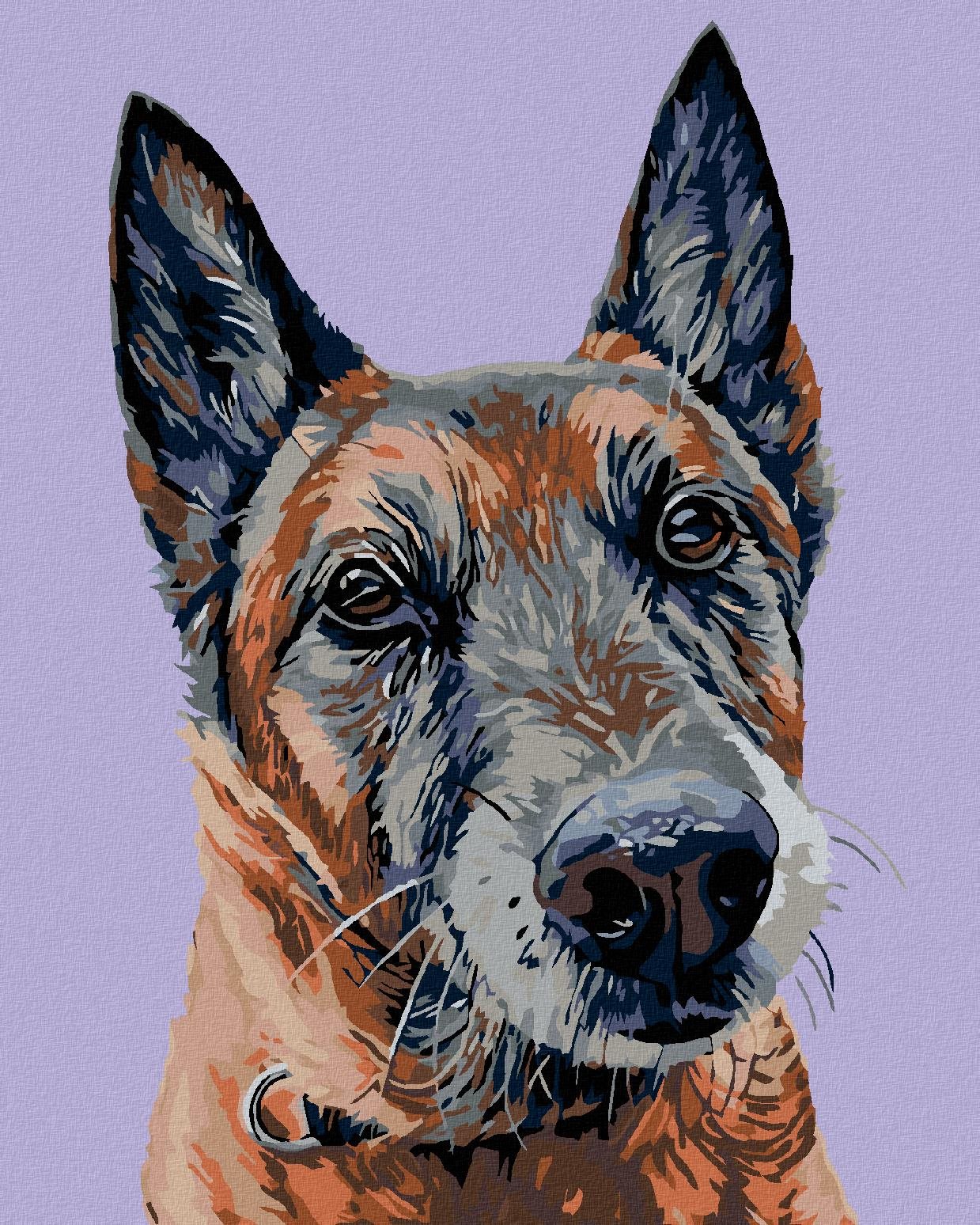 Maľovanie podľa čísel – Starý vlčiak, 80 × 100 cm, napnuté plátno na rám