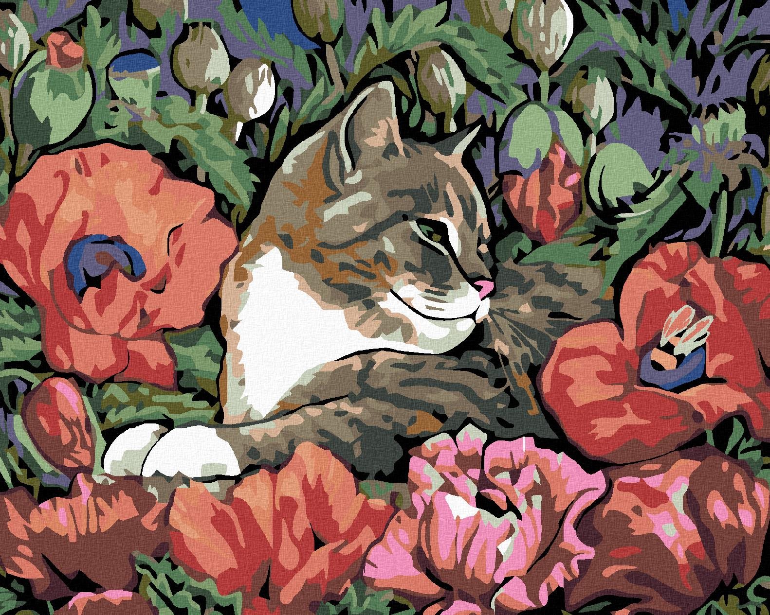 Maľovanie podľa čísel – Mačiatko a vlčí mak, 100 × 80 cm, bez rámu a bez napnutia plátna