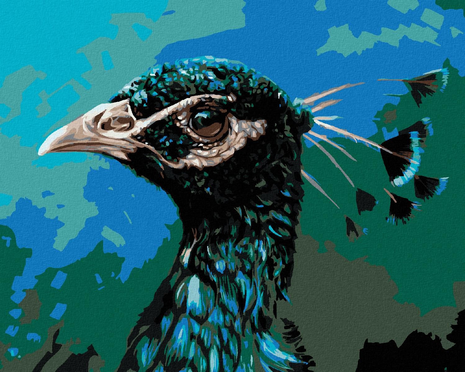 Maľovanie podľa čísel – Páví profil, 100 × 80 cm, bez rámu a bez napnutia plátna