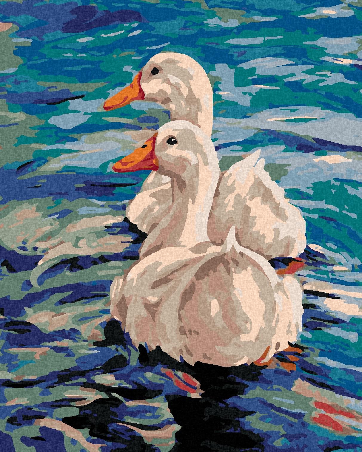Maľovanie podľa čísel – Dve kačice na vode, 80 × 100 cm, bez rámu a bez napnutia plátna