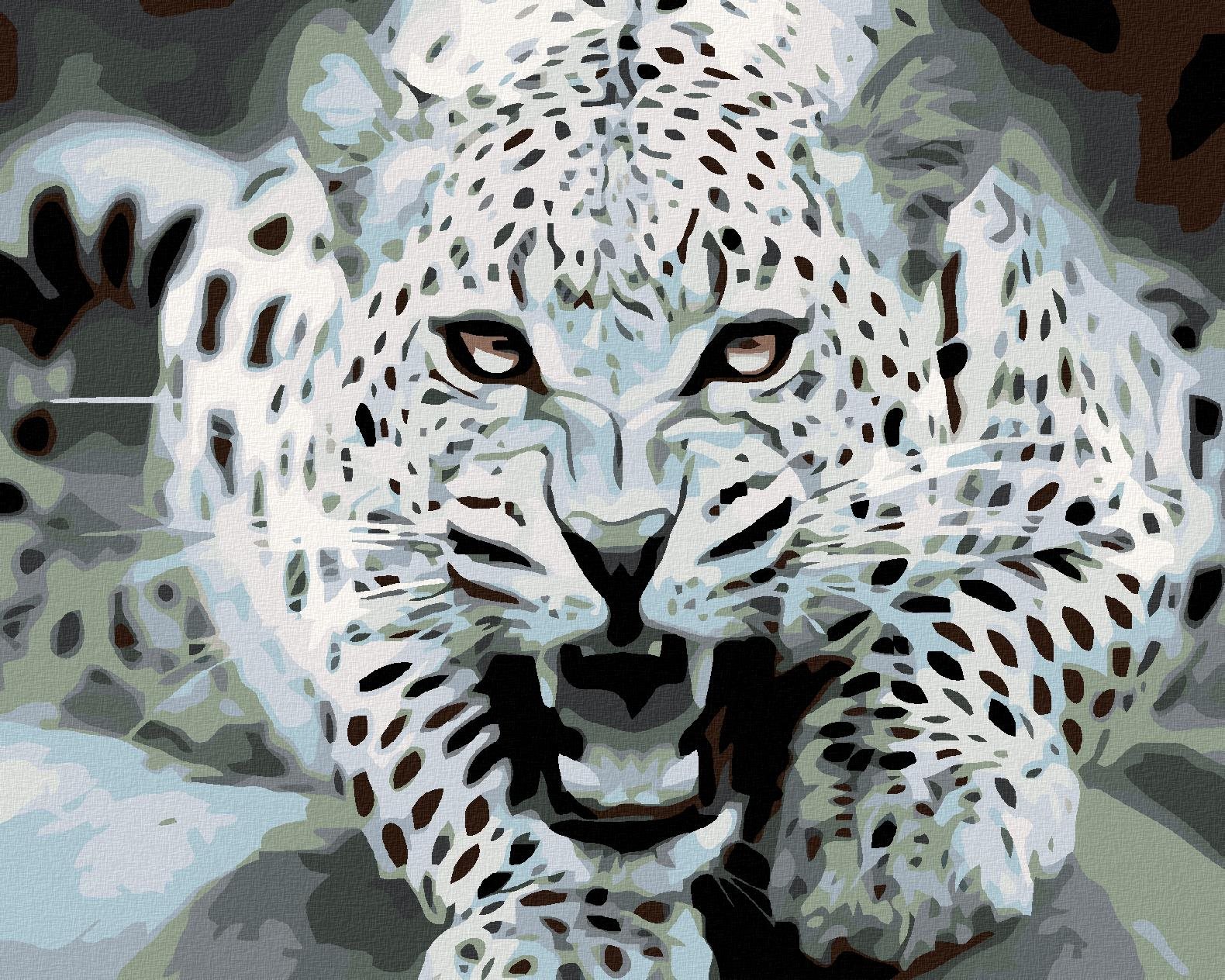 Maľovanie podľa čísel - Čierno-biely leopard, 50 x 40 cm, bez rámu a napnutého plátna