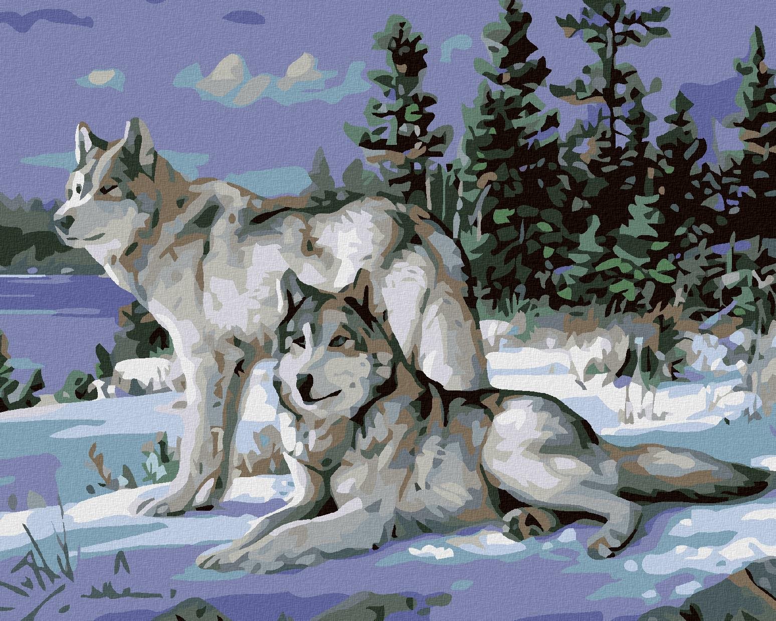 Maľovanie podľa čísel – Vlci II, 50 × 40 cm, napnuté plátno na rám