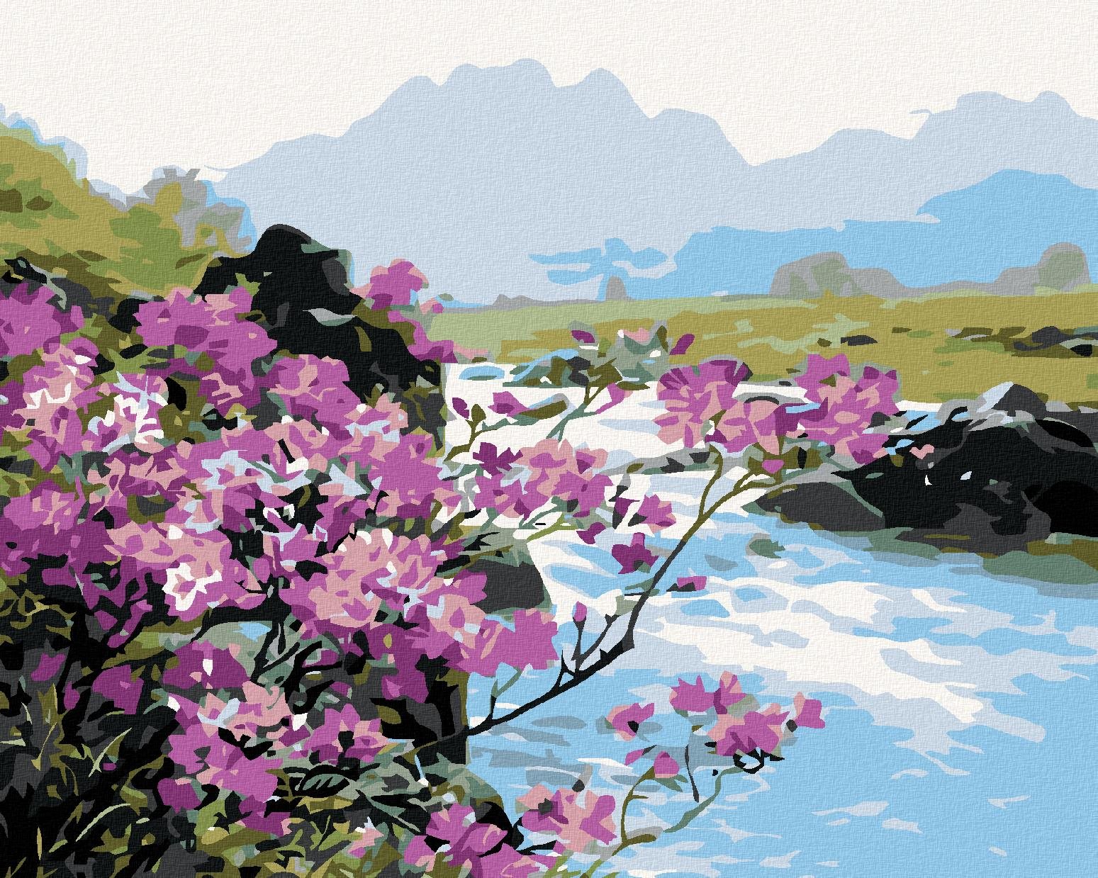 Maľovanie podľa čísel – Rozkvitnuté kvety pri rieke, 50 × 40 cm, napnuté plátno na rám