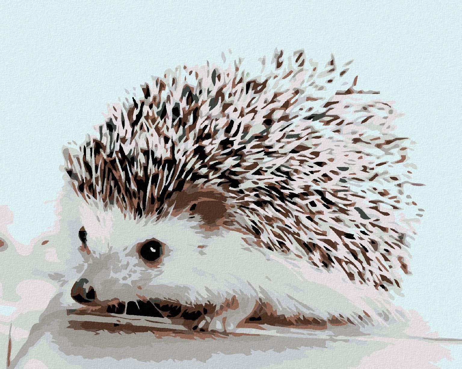 Maľovanie podľa čísel – Ježko, 50 × 40 cm, bez rámu a bez napnutého plátna