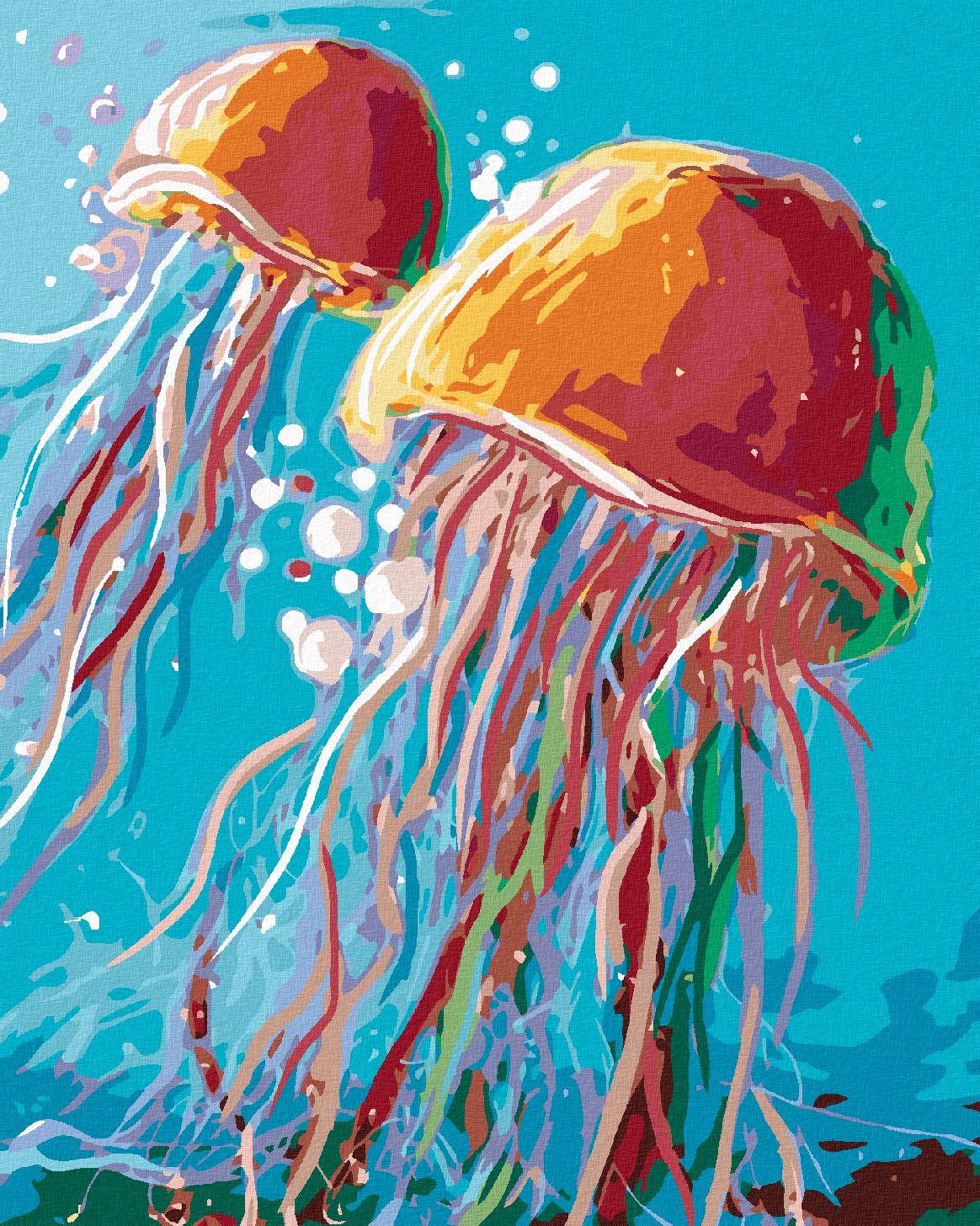 Maľovanie podľa čísel – Medúzy, 40 × 50 cm, plátno napnuté na ráme