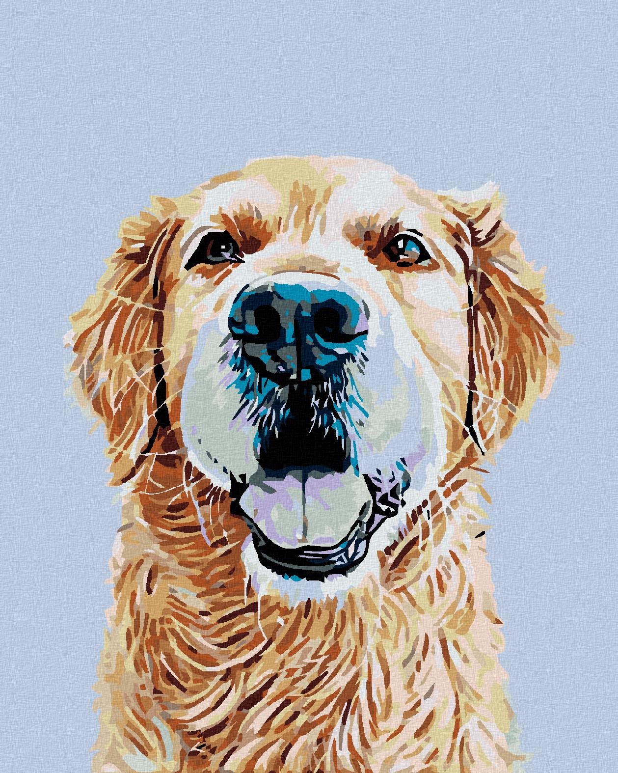 Maľovanie podľa čísel – Zlatý retriever, 80 × 100 cm, plátno napnuté na ráme