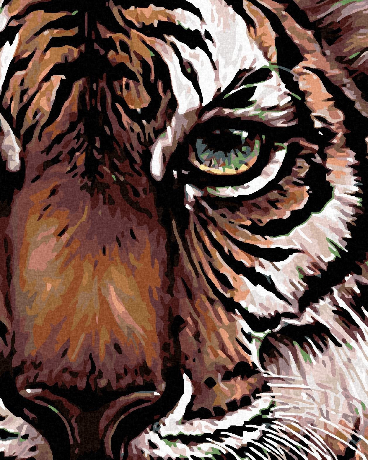 Maľovanie podľa čísel – Pohľad tigra, 80 × 100 cm, bez rámu a bez napnutia plátna