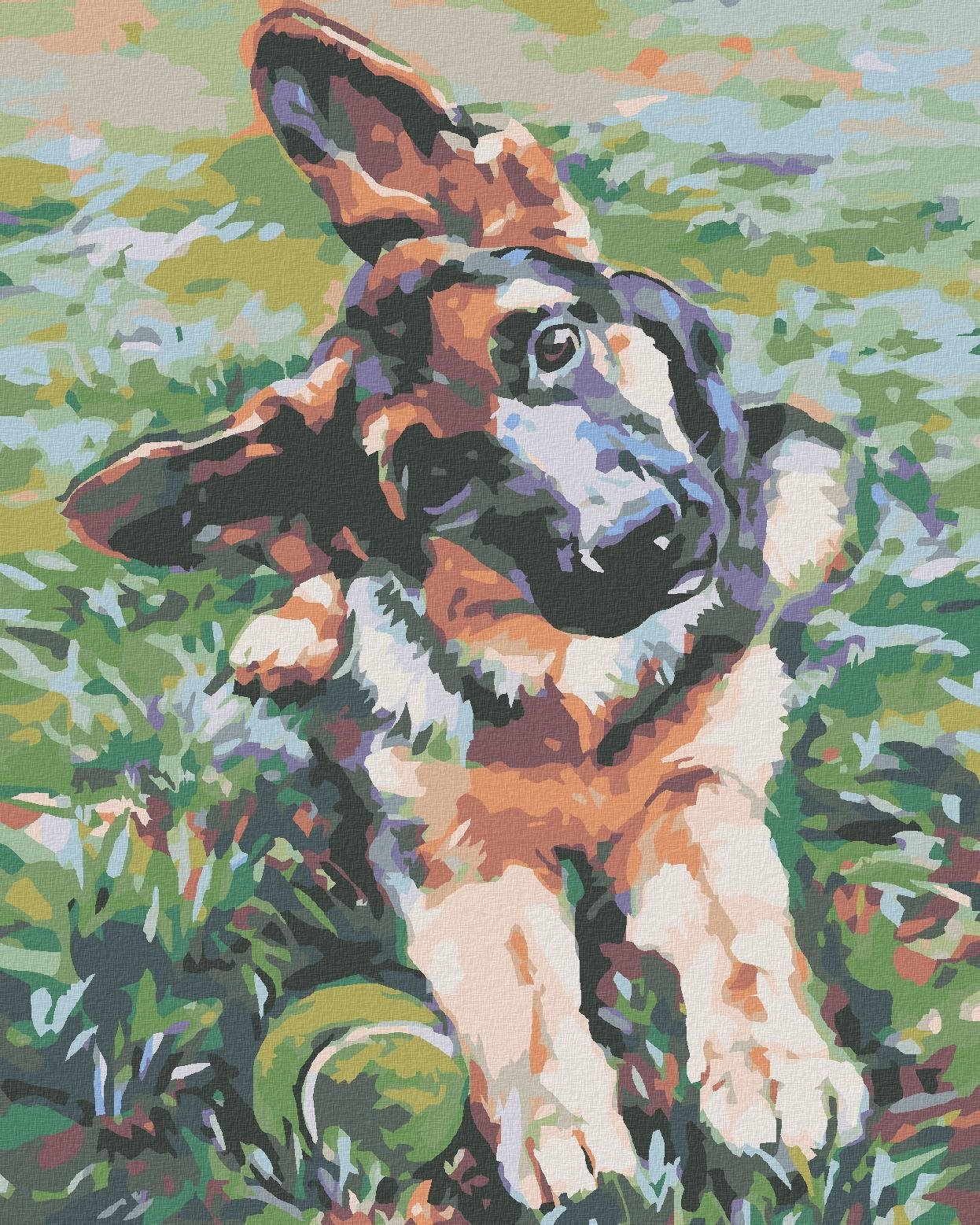 Maľovanie podľa čísel - Šteňa ovčiaka, 40 x 50 cm, bez rámu a napnutého plátna