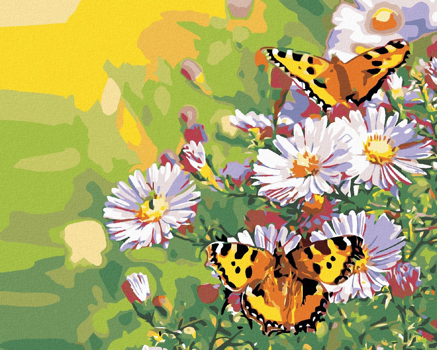 Maľovanie podľa čísel – Motýliky na margarétach, 100 × 80 cm, napnuté plátno na rám