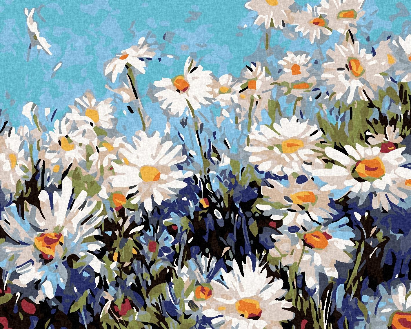 Maľovanie podľa čísel – Margaréty, 100 × 80 cm, bez rámu a bez napnutia plátna