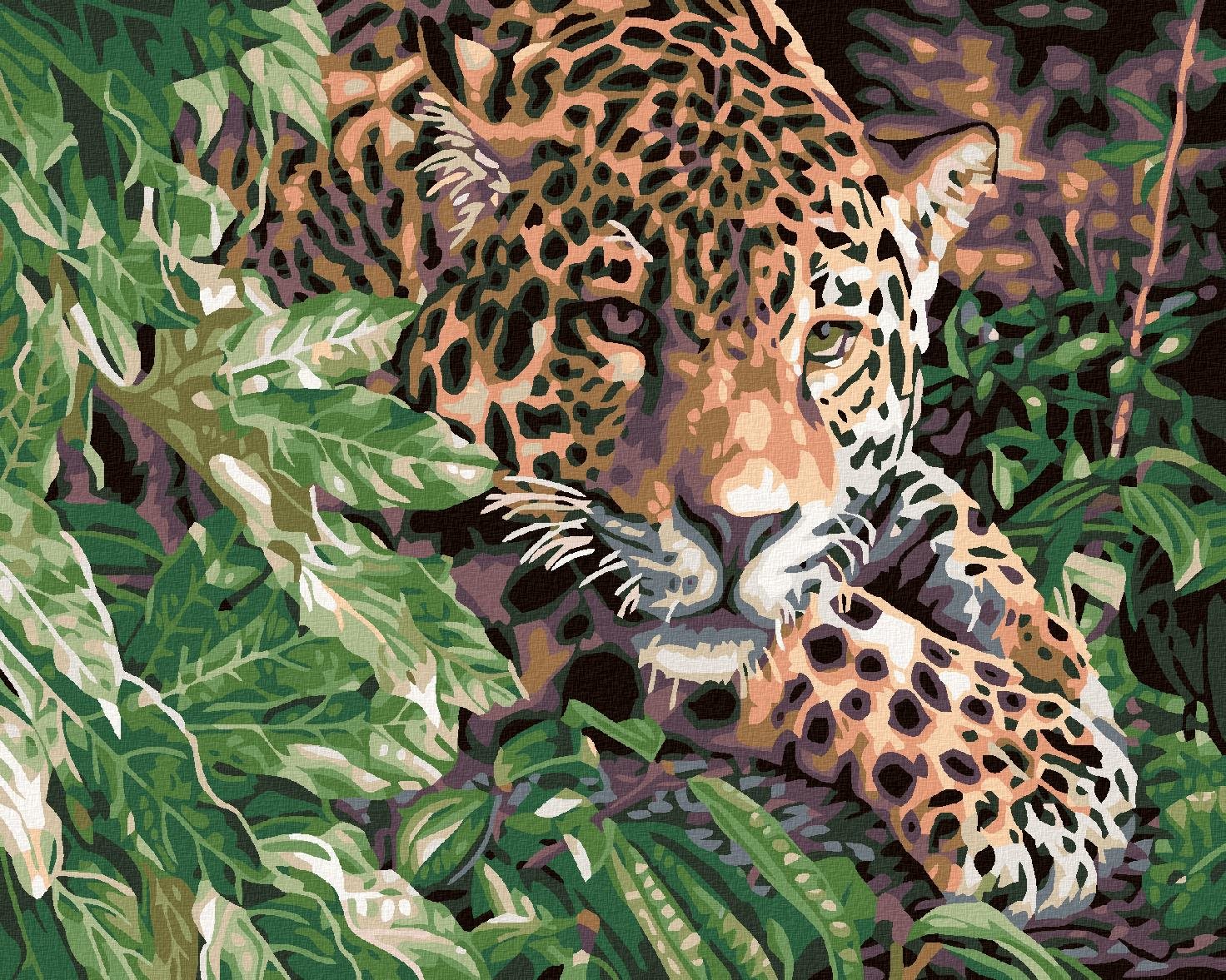 Maľovanie podľa čísel - Leopard, 50 x 40 cm, napnuté plátno na ráme