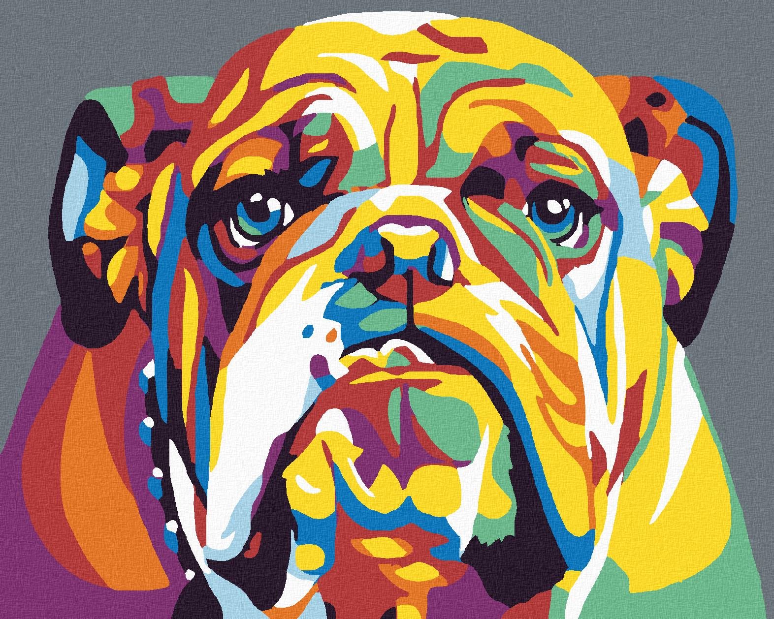 Maľovanie podľa čísel - Buldog II, 50 x 40 cm, bez rámu a napnutého plátna