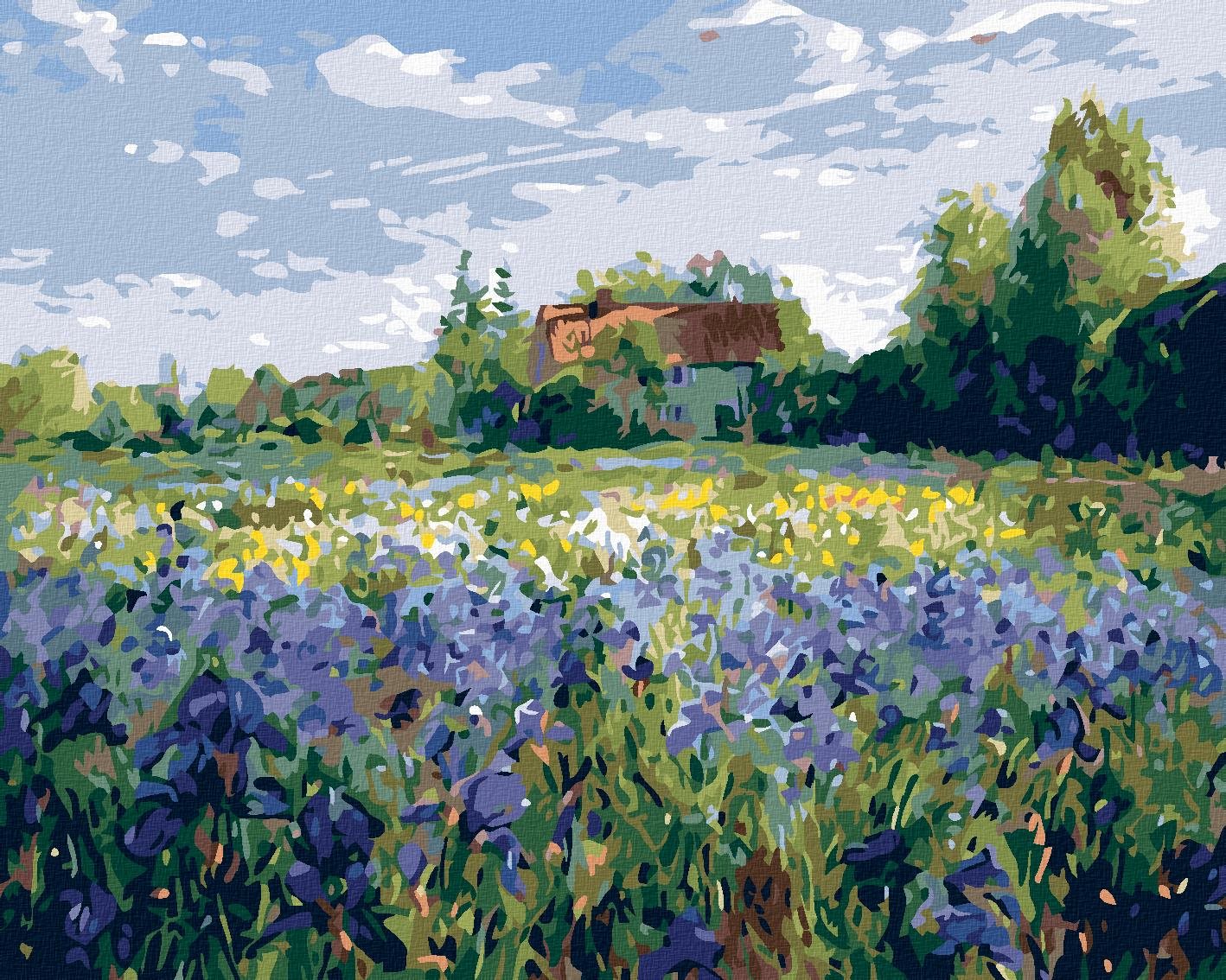 Maľovanie podľa čísel – Dom na vidieku, 50 × 40 cm, bez rámu a bez napnutia plátna