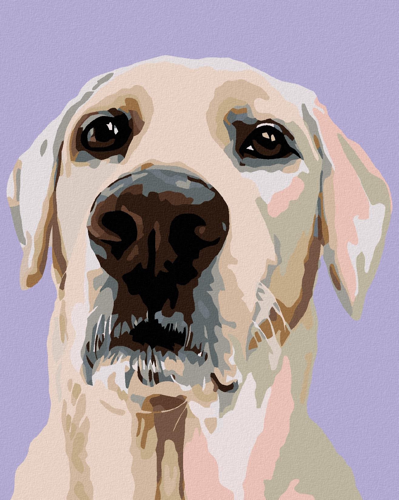 Maľovanie podľa čísel - Labradorský retriever, 80 x 100 cm, napnuté plátno na ráme