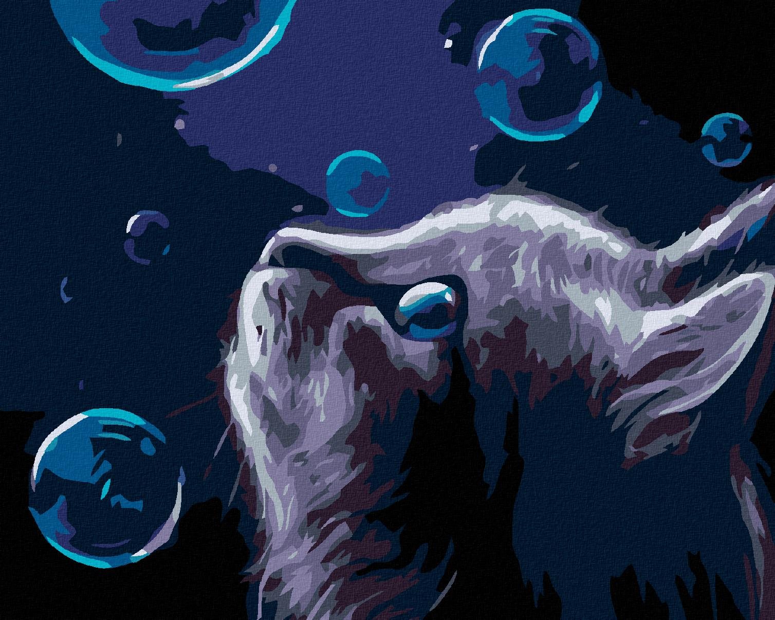 Maľovanie podľa čísel - Mačka a bubliny v noci, 50 x 40 cm, napnuté plátno na ráme