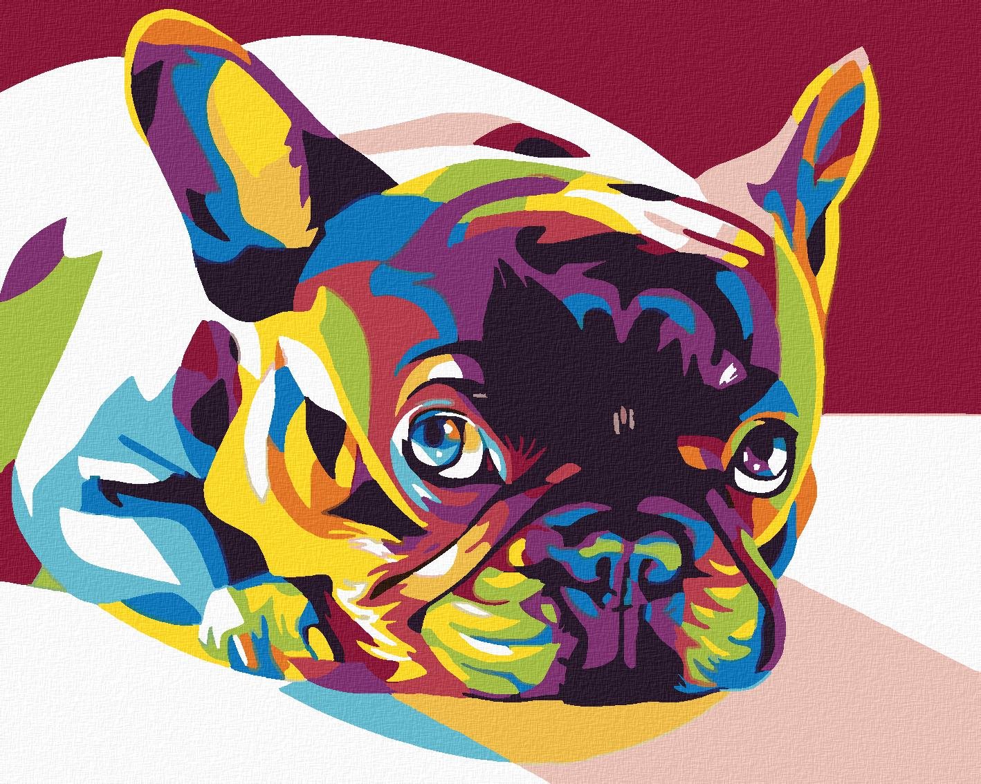 Maľovanie podľa čísel - Farebný buldog, 50 x 40 cm, bez rámu a napnutého plátna
