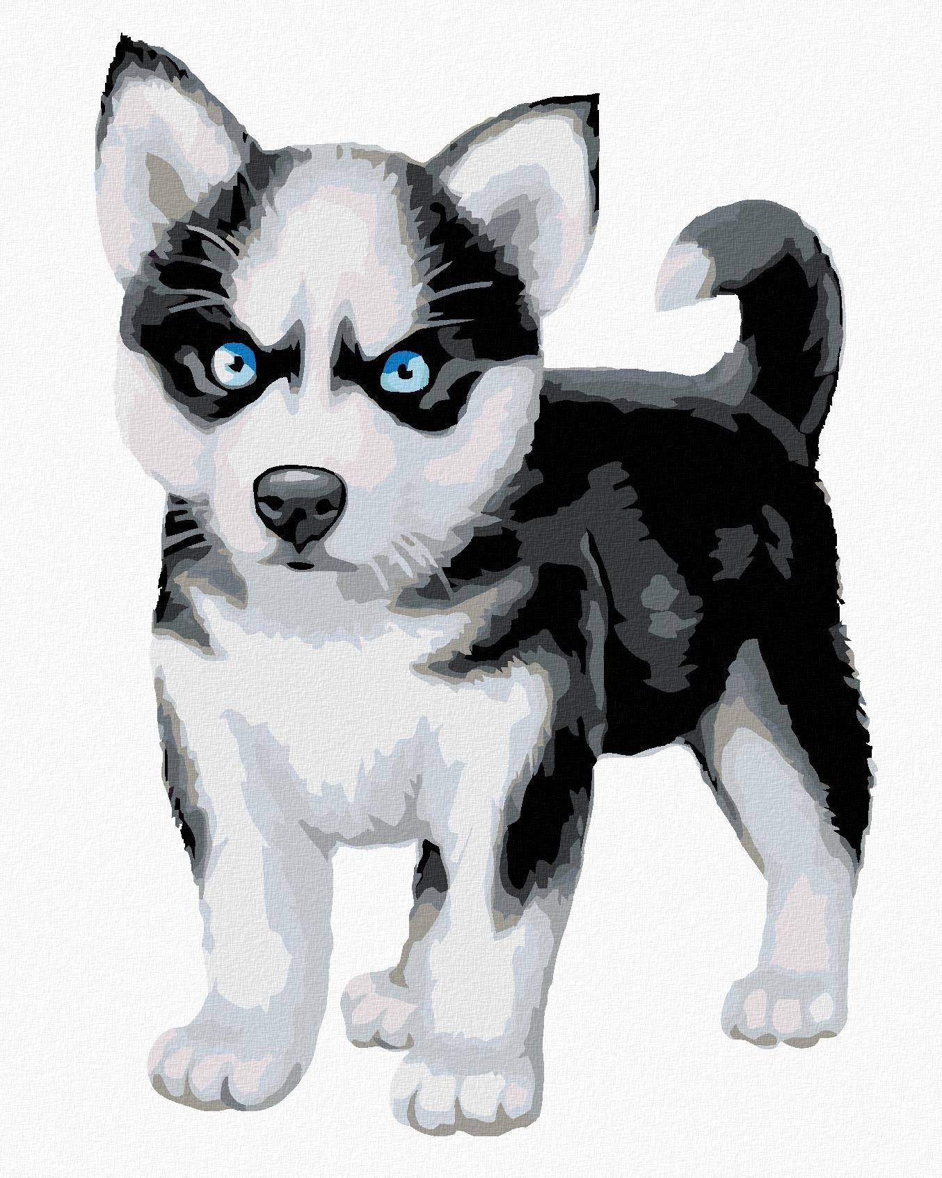 Maľovanie podľa čísel - Modrooký husky, 80 x 100 cm, bez rámu a napnutého plátna