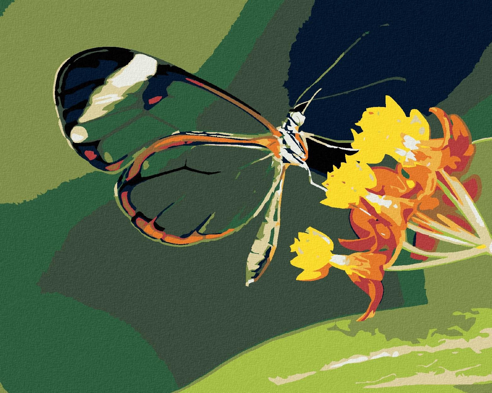 Maľovanie podľa čísel – Motýľ a kvety, 100 × 80 cm, bez rámu a bez napnutia plátna