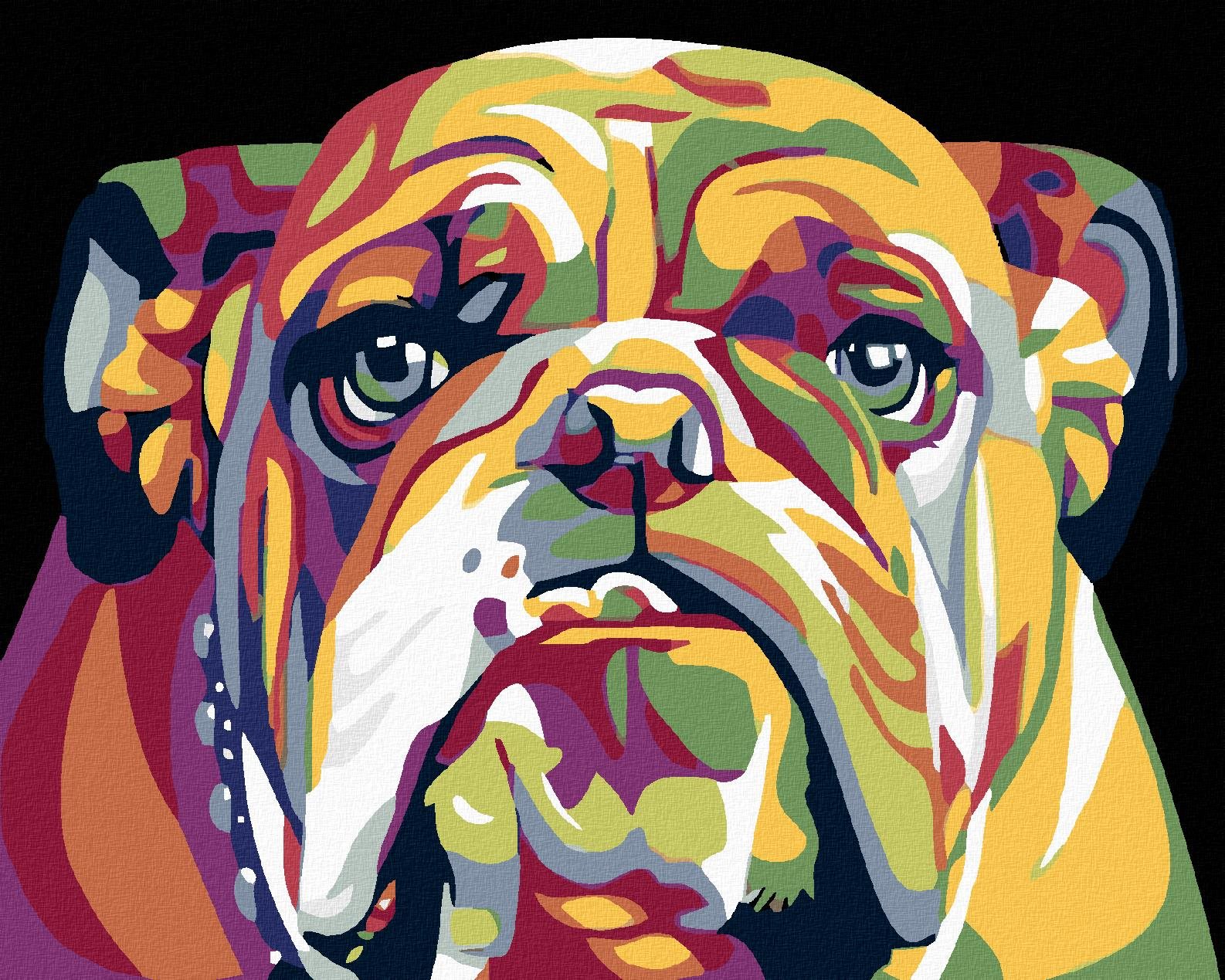 Maľovanie podľa čísel – Buldog, 100 × 80 cm, bez rámu a bez napnutia plátna