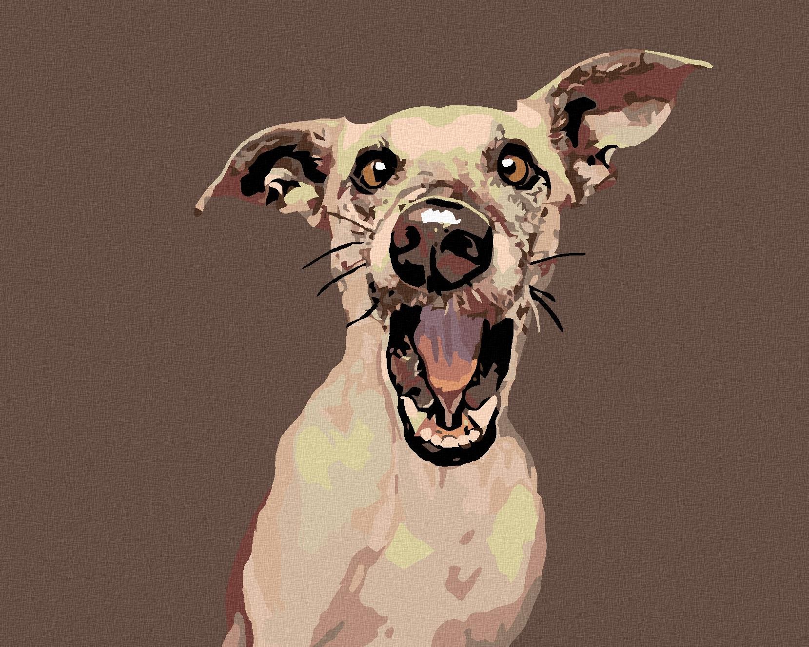 Maľovanie podľa čísel - Prekvapený pes, 50 x 40 cm, napnuté plátno na ráme