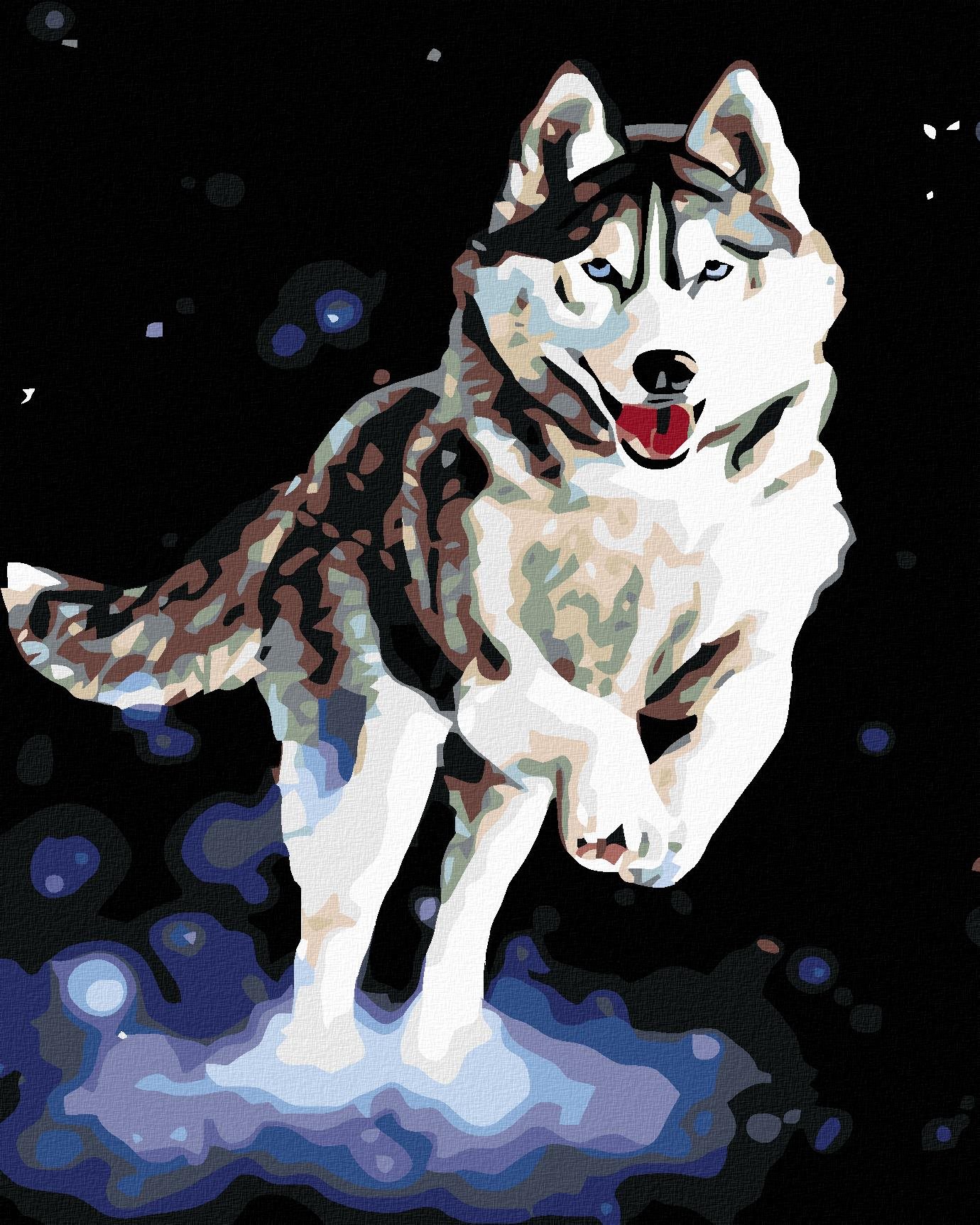 Maľovanie podľa čísel – Husky, 40 × 50 cm, napnuté plátno na ráme