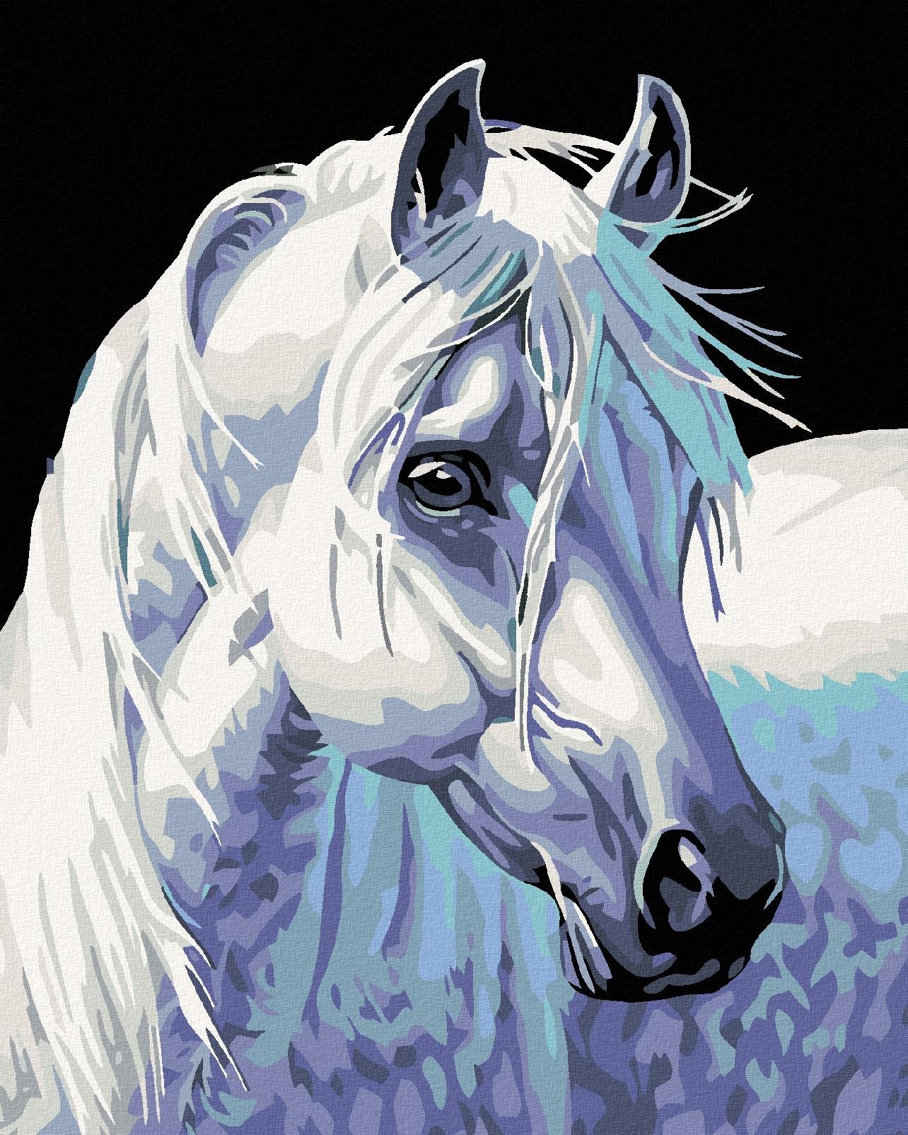 Maľovanie podľa čísel – Biely kôň II, 80 × 100 cm, bez rámu a bez napnutého plátna