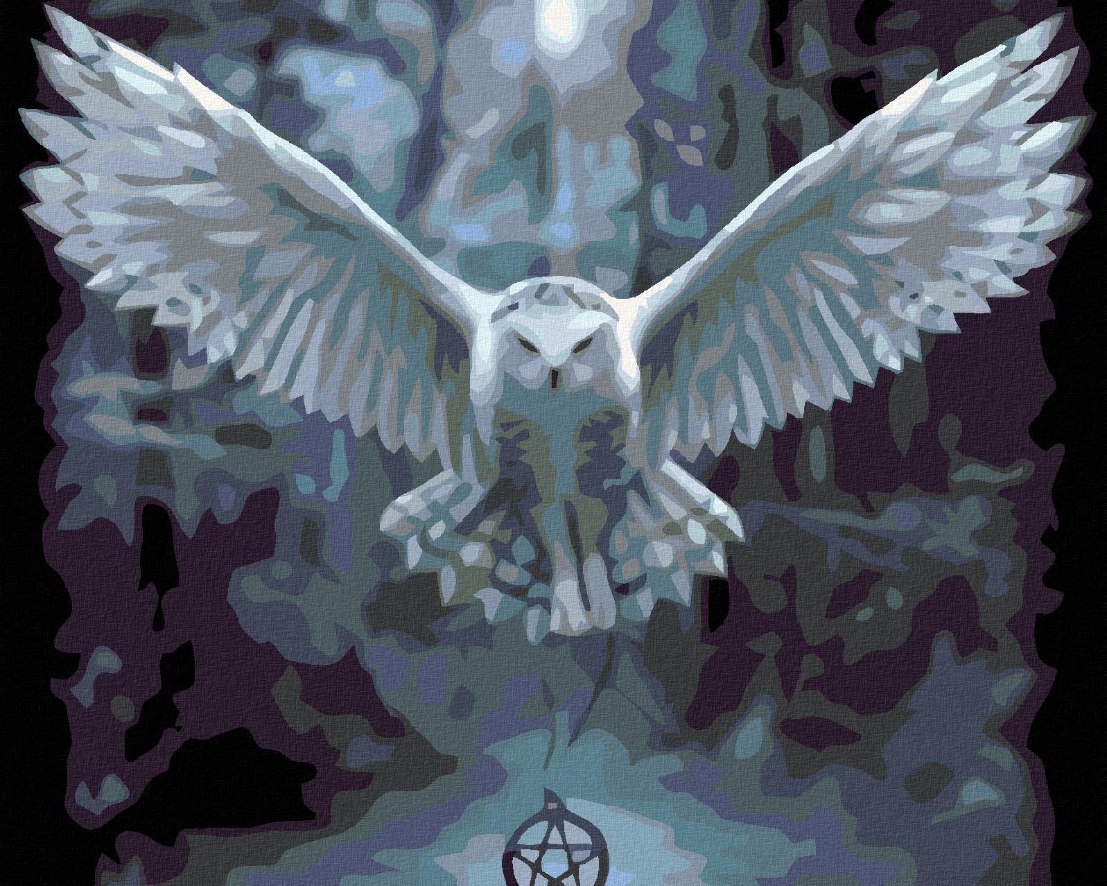 Maľovanie podľa čísel - Sova s pentagramom, 50 x 40 cm, bez rámu a napnutého plátna