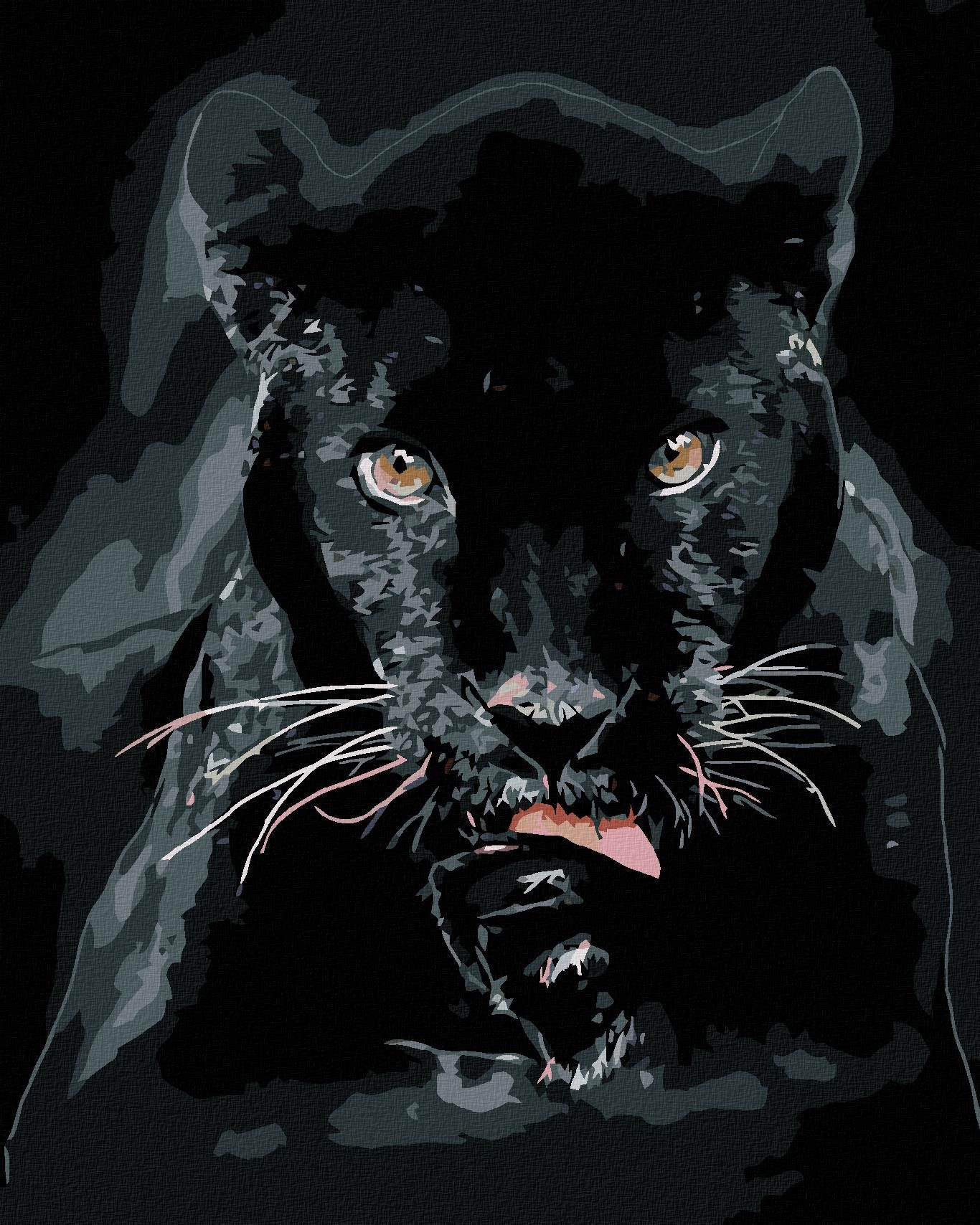 Maľovanie podľa čísel – Čierna puma, 80 × 100 cm, napnuté plátno na rám