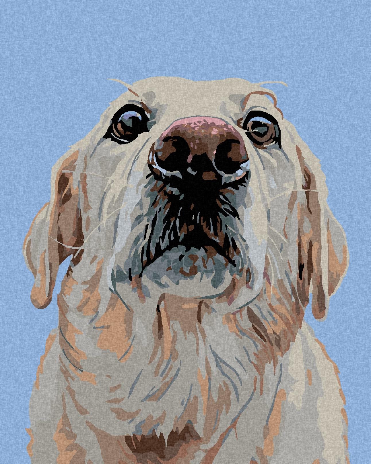 Maľovanie podľa čísel - Labrador, 40 x 50 cm, bez rámu a napnutého plátna