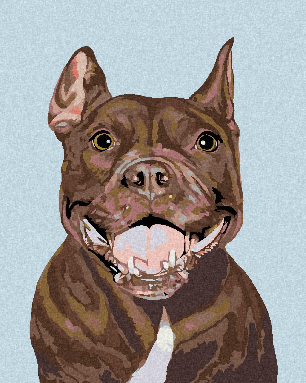 Maľovanie podľa čísel – Pitbull, 40 × 50 cm, napnuté plátno na rám