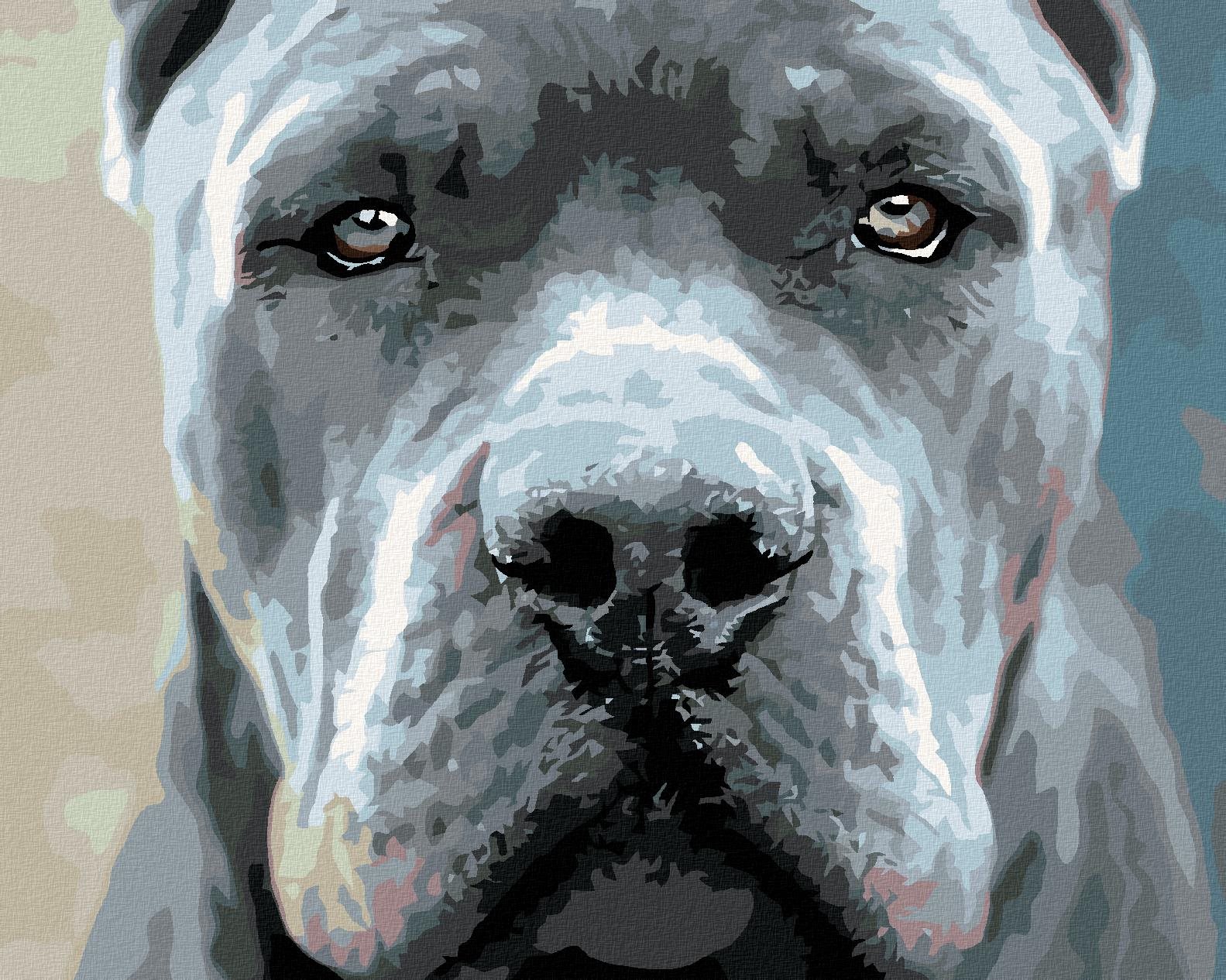 Maľovanie podľa čísel – Cane corso, 50 × 40 cm, napnuté plátno na rám