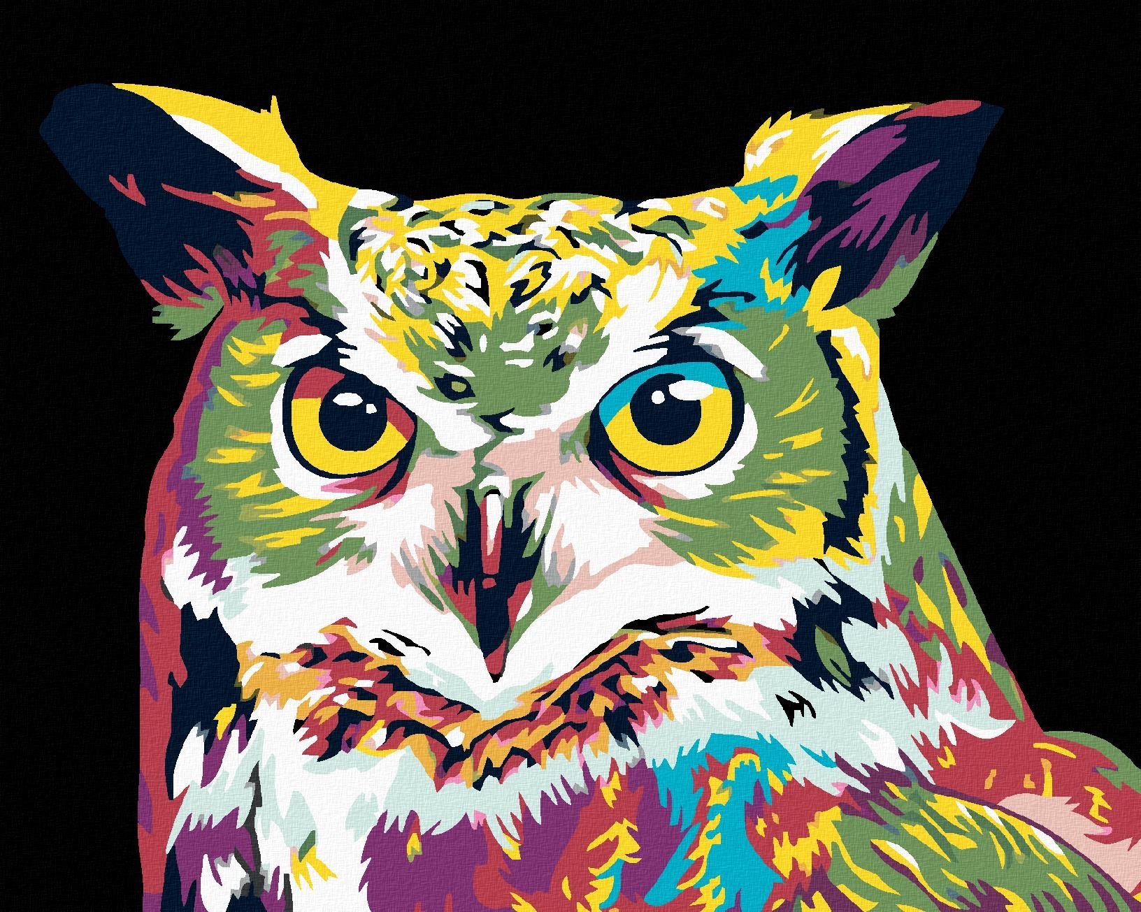 Maľovanie podľa čísel - Farebná sova, 100 x 80 cm, bez rámu a napnutého plátna
