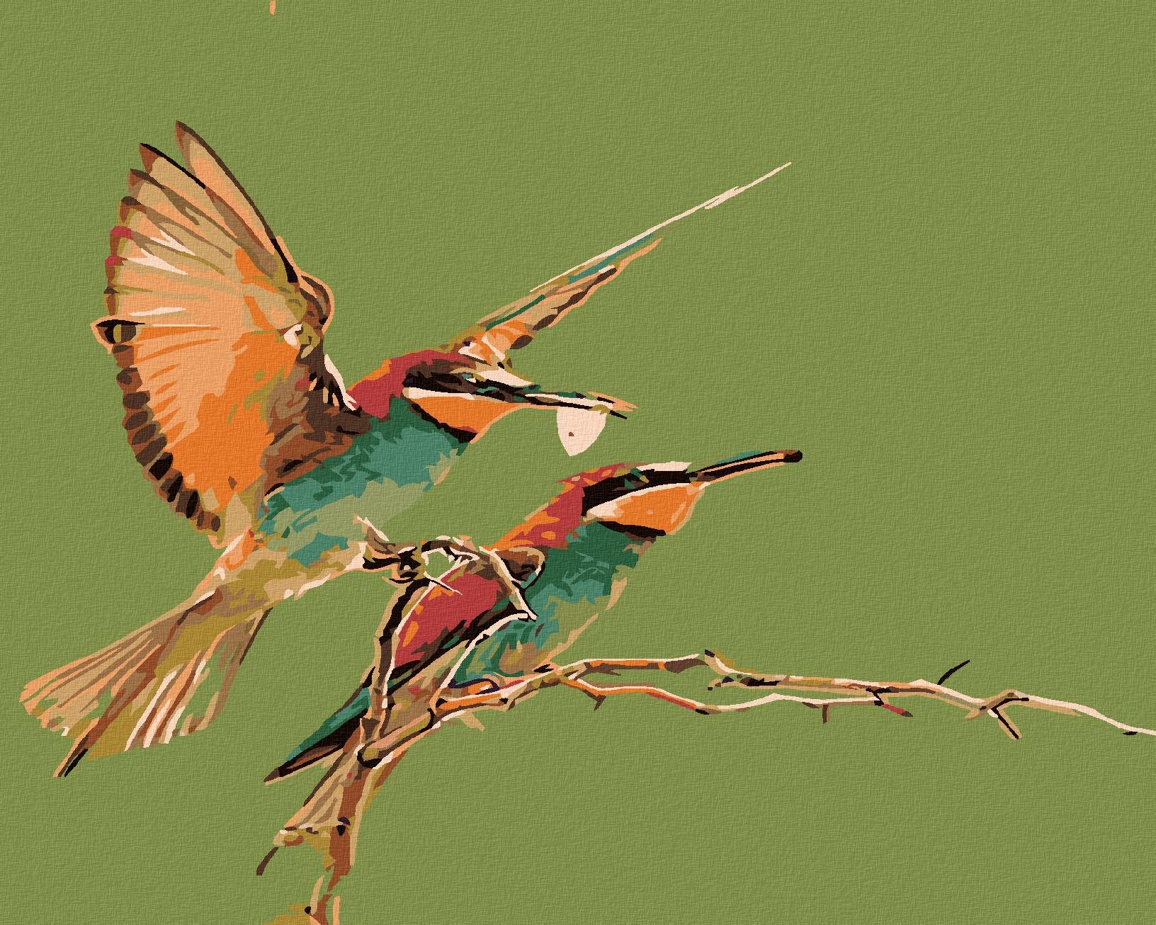 Maľovanie podľa čísel – Dva kolibríky, 50 × 40 cm, napnuté plátno na rám