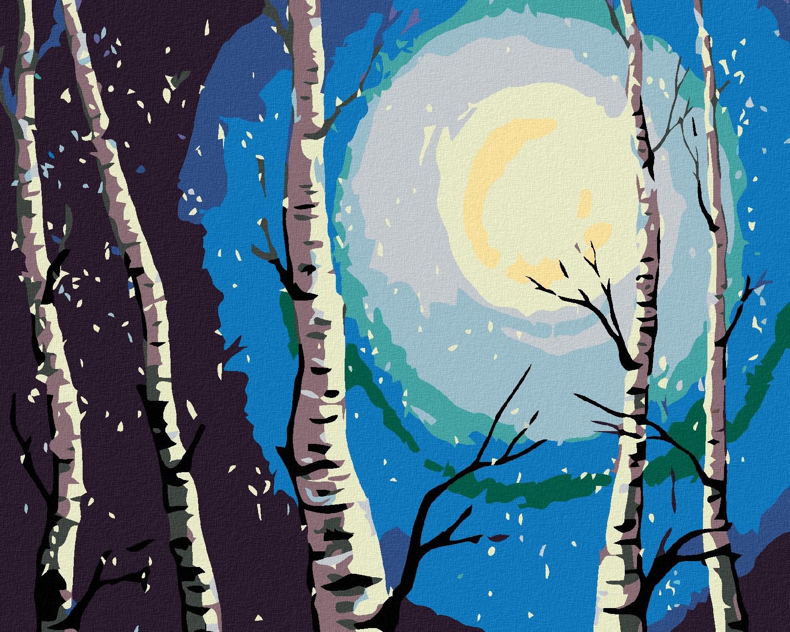 Maľovanie podľa čísel – Brezy, mesiac a padajúci sneh, 50 × 40 cm, bez rámu a bez napnutia plátna