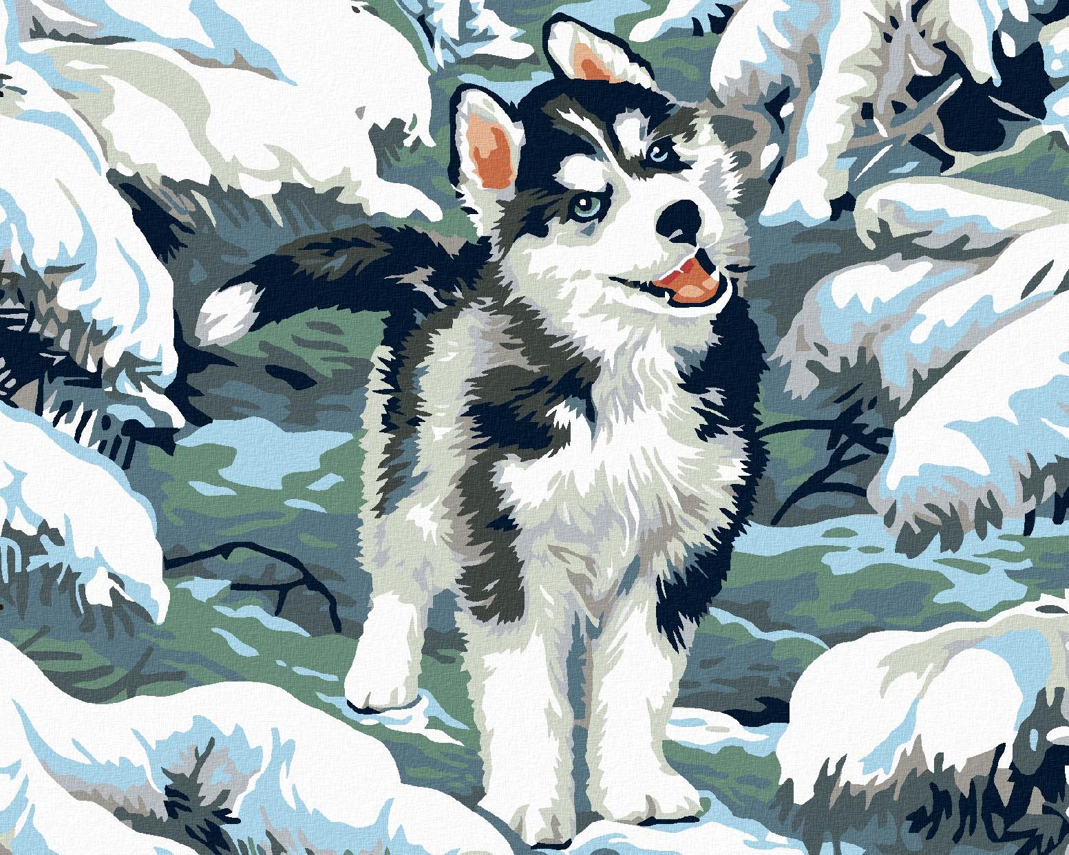 Maľovanie podľa čísel – Malý husky, 100 × 80 cm, napnuté plátno na ráme