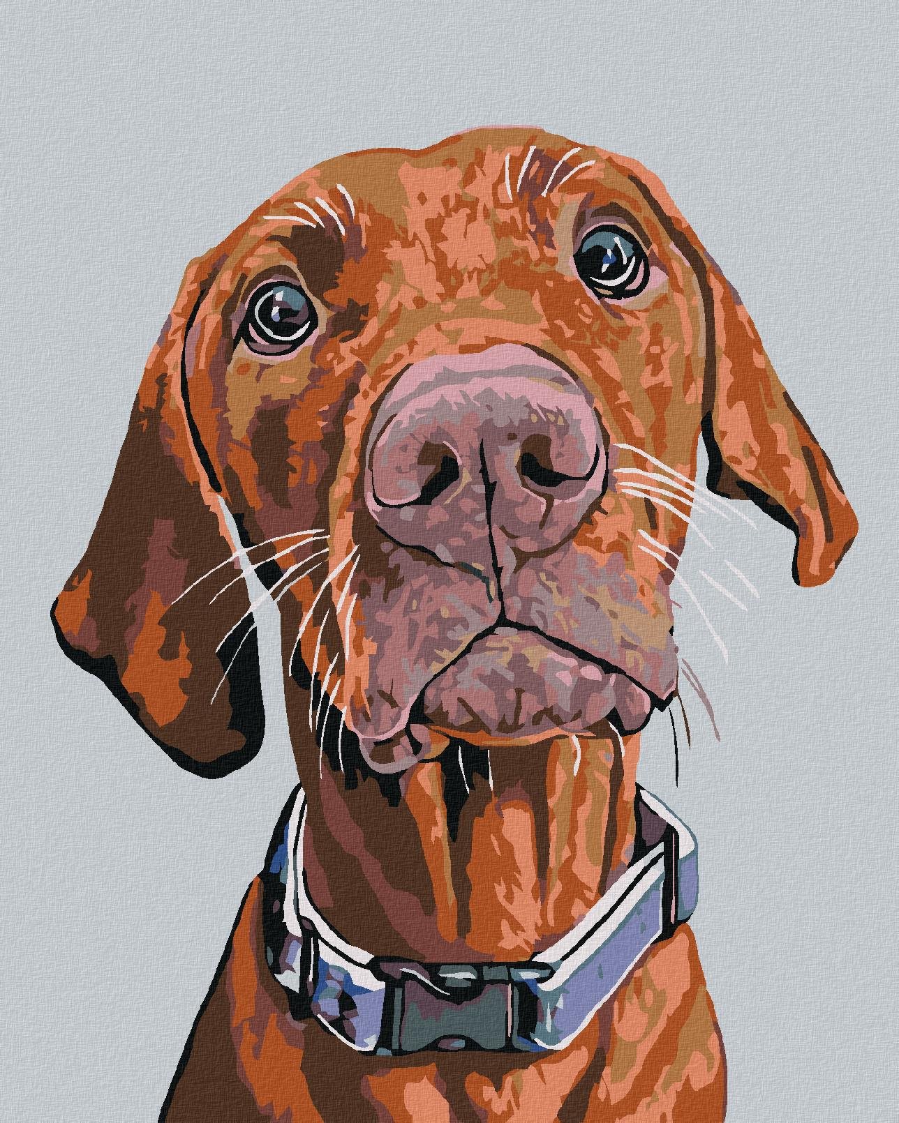 Maľovanie podľa čísel - Ridgeback s modrým obojkom, 80 x 100 cm, napnuté plátno na ráme