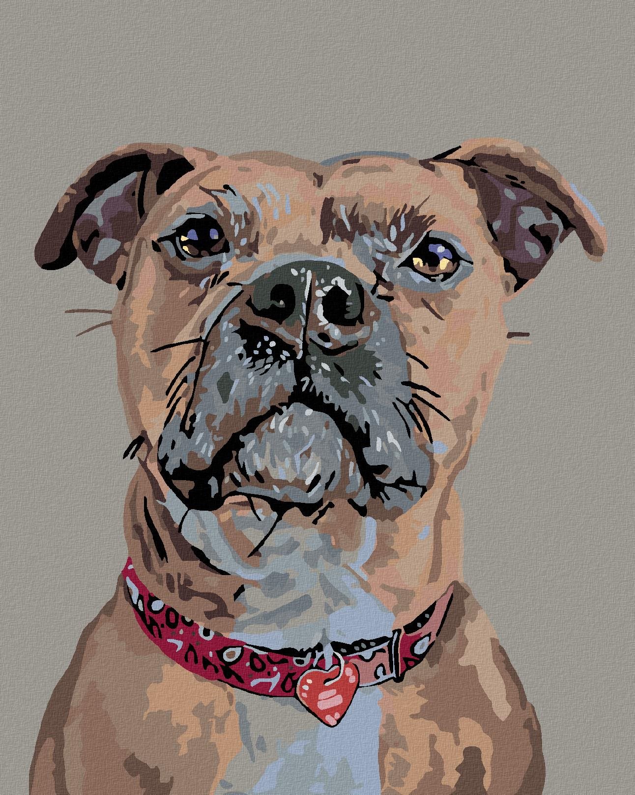 Maľovanie podľa čísel - Pes v pozore a srdiečkový obojok, 80 x 100 cm, bez rámu a napnutého plátna
