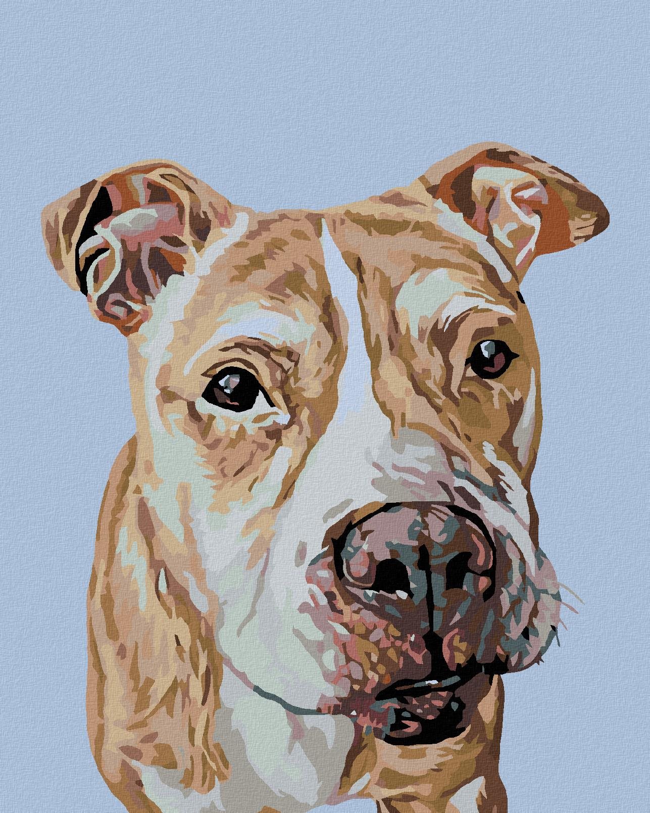 Maľovanie podľa čísel – Hnedý staford, 40 × 50 cm, napnuté plátno na rám