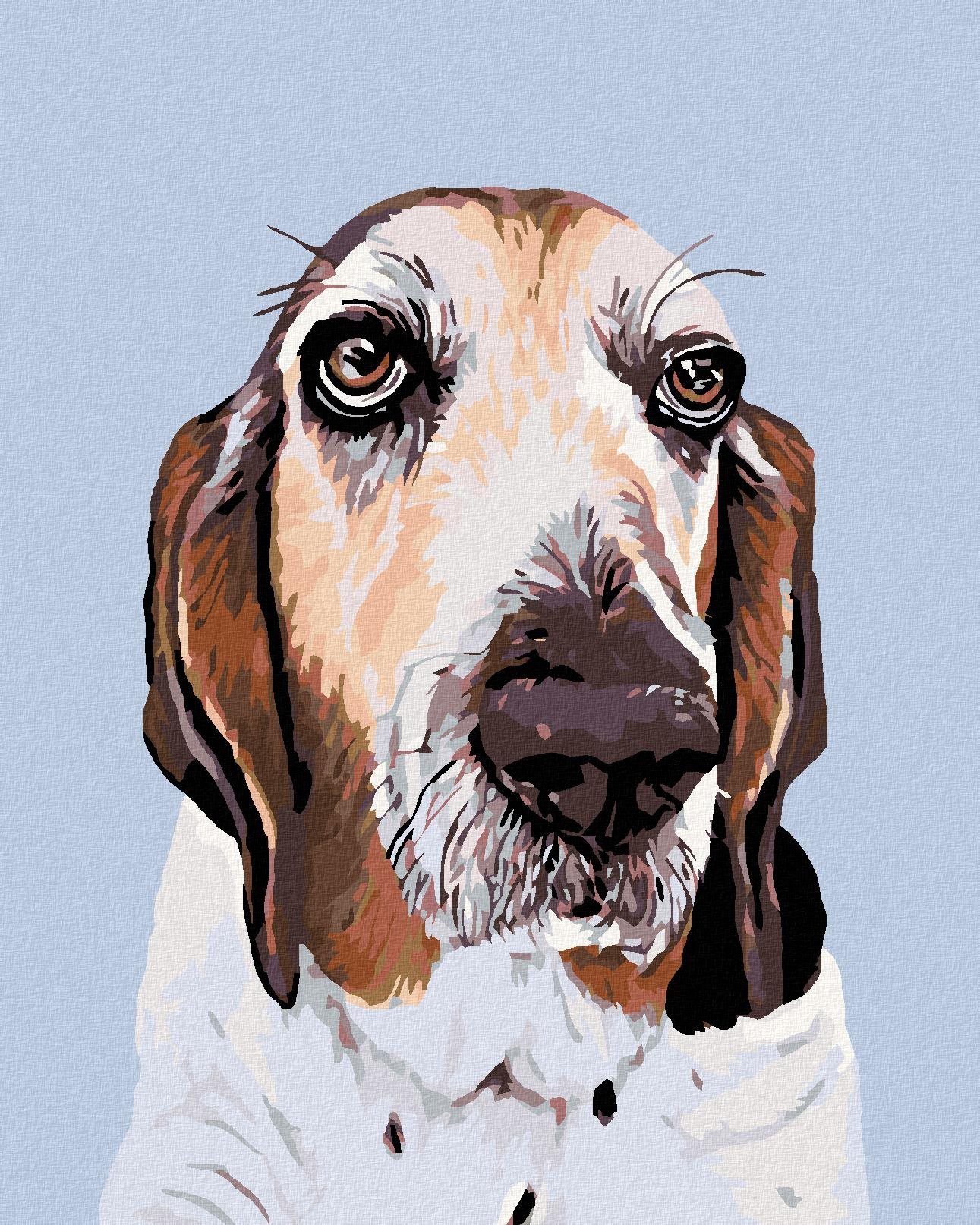 Maľovanie podľa čísel – Baset, 40 × 50 cm, napnuté plátno na rám