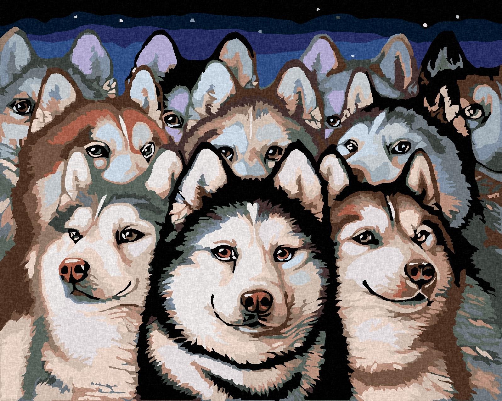 Maľovanie podľa čísel – Svorka husky, 50 × 40 cm, napnuté plátno na rám