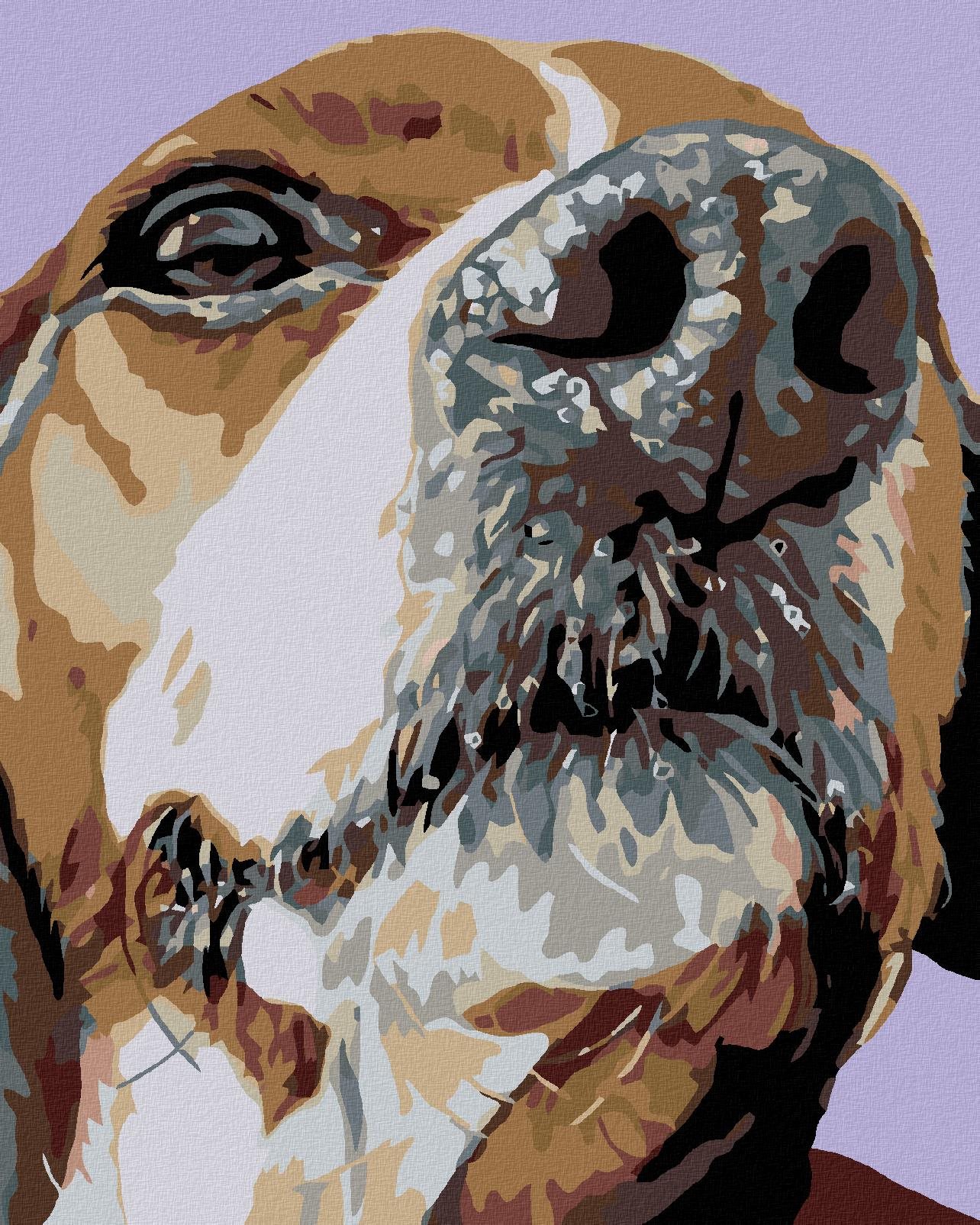 Maľovanie podľa čísel – Ňufáčik bígla, 40 × 50 cm, napnuté plátno na rám