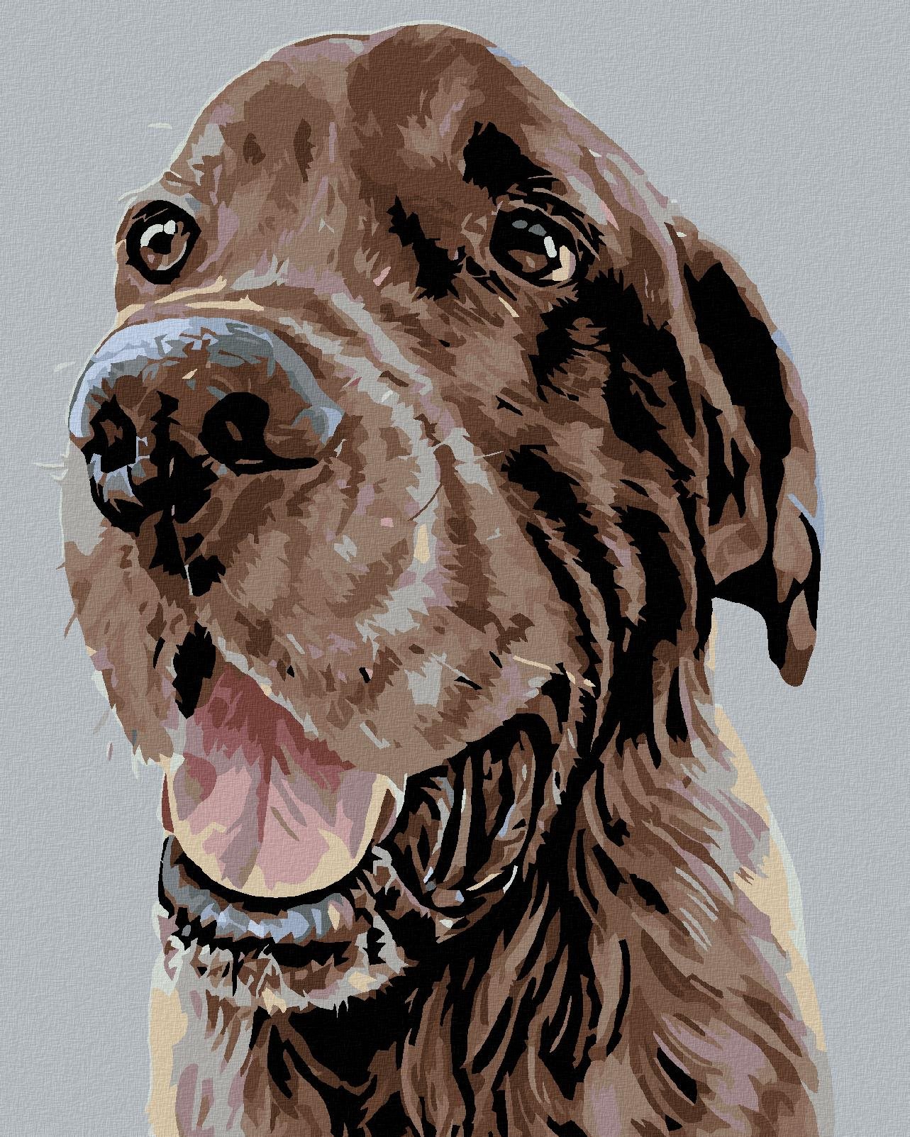Maľovanie podľa čísel - Krásny hnedý seter, 80 x 100 cm, napnuté plátno na ráme