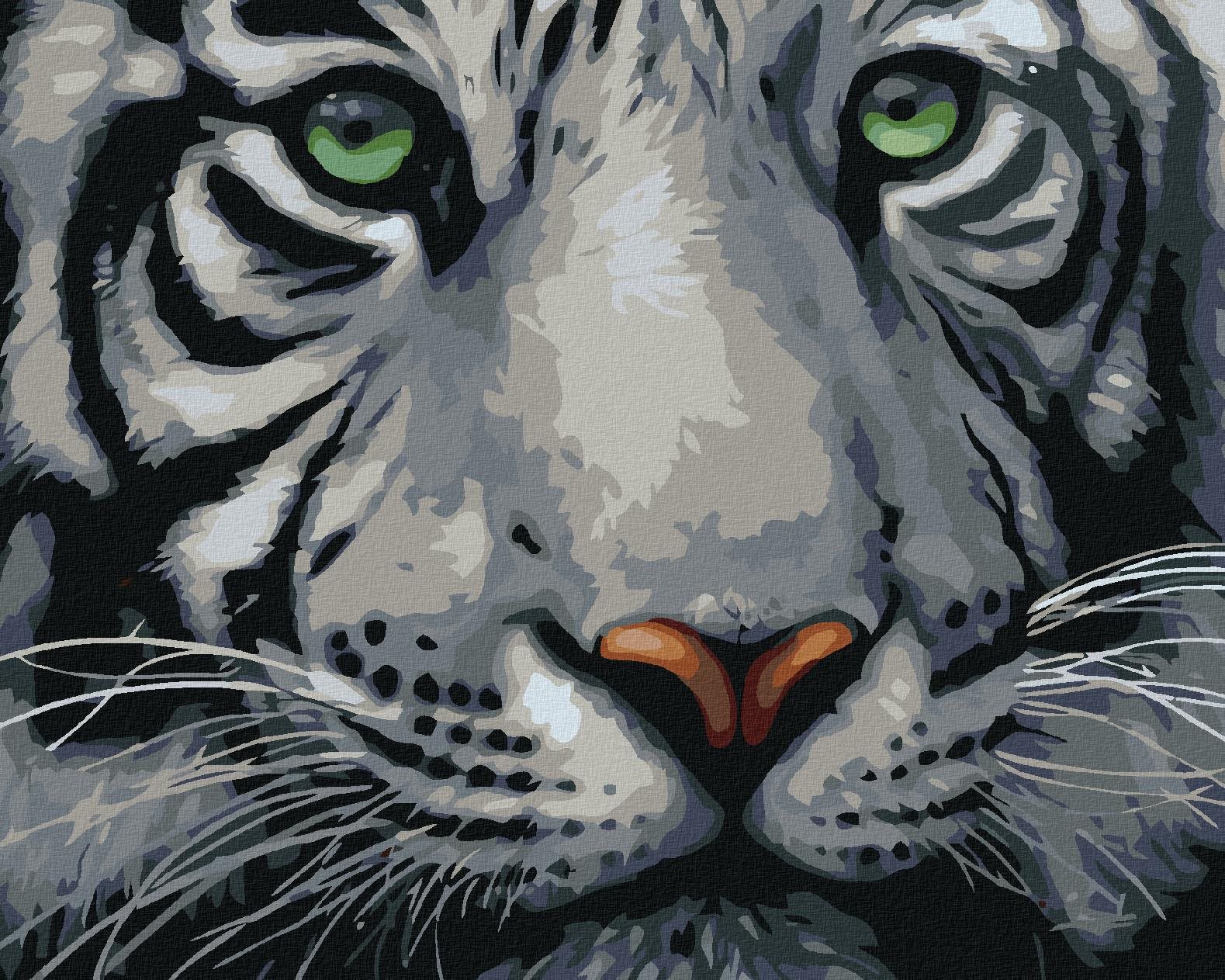 Maľovanie podľa čísel – Hlava bieleho tigra, 50 × 40 cm, napnuté plátno na rám