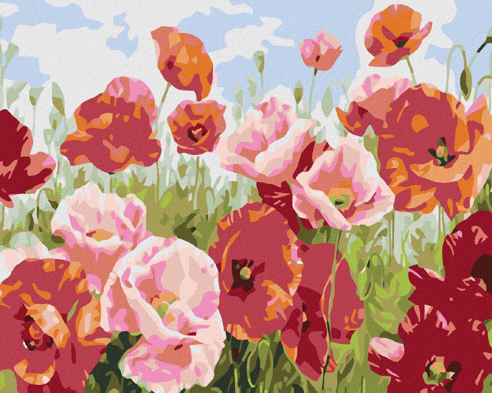 Maľovanie podľa čísel - Vlčie maky v mnohých odtieňoch, 100 x 80 cm, napnuté plátno na ráme