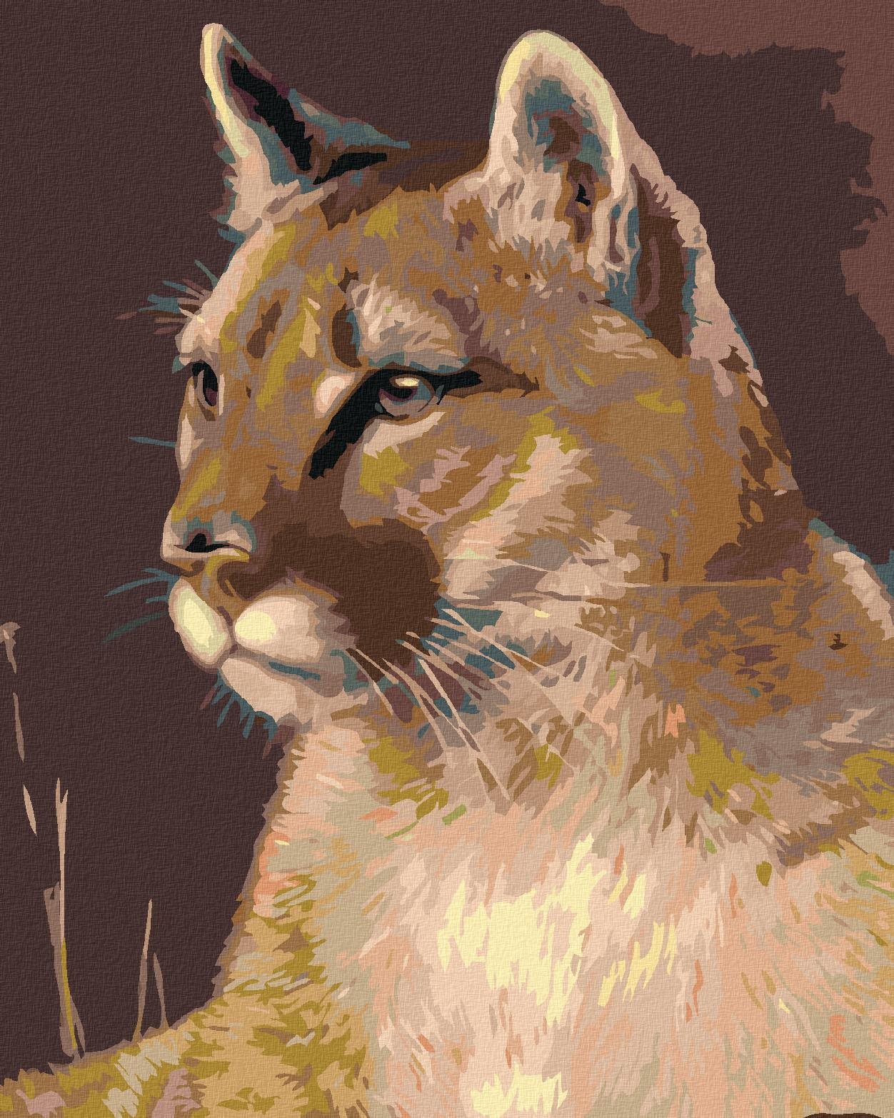 Maľovanie podľa čísel - Puma, 40 x 50 cm, bez rámu a napnutého plátna
